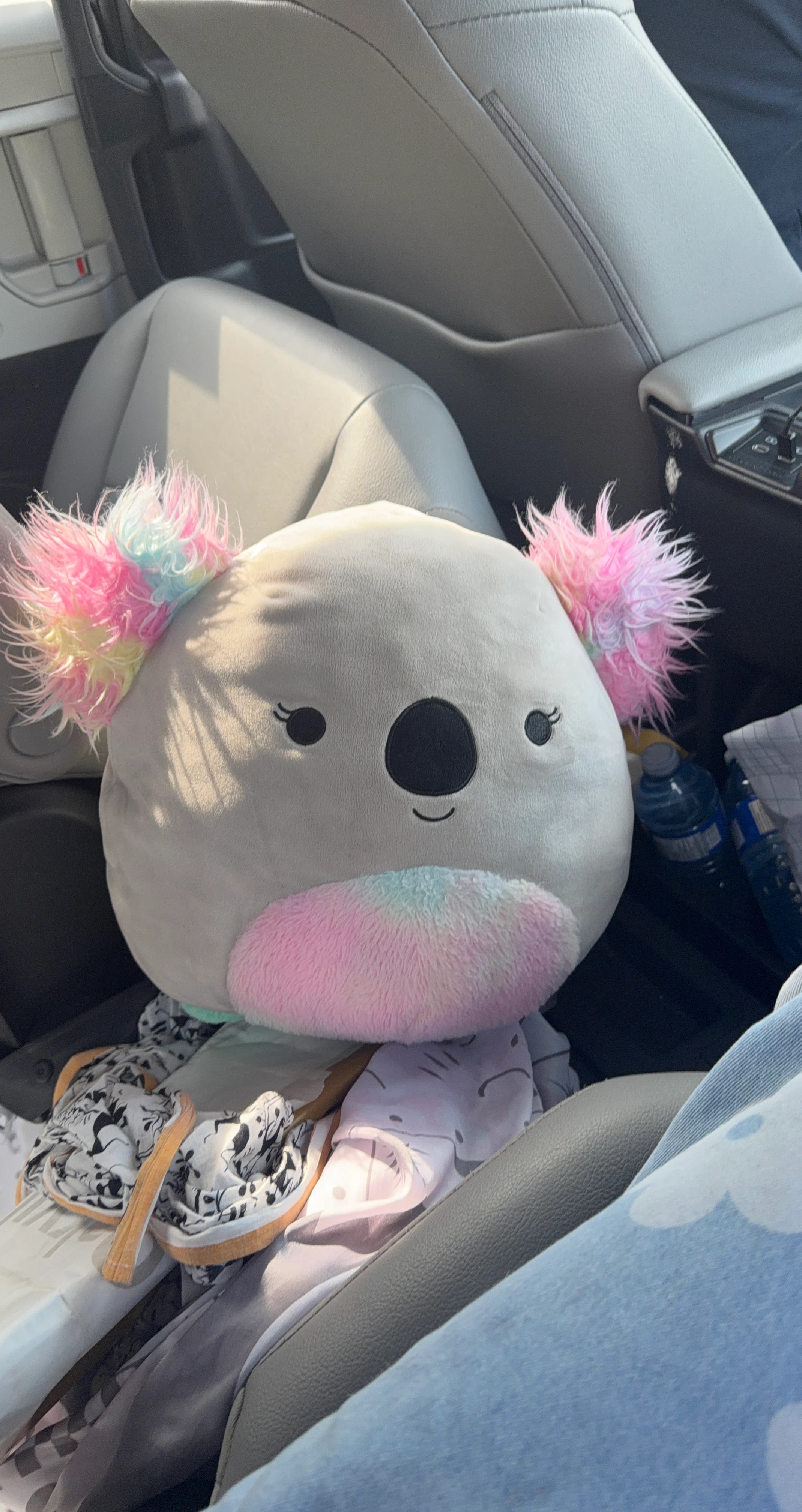 Squishmallow Koala Plush Toy