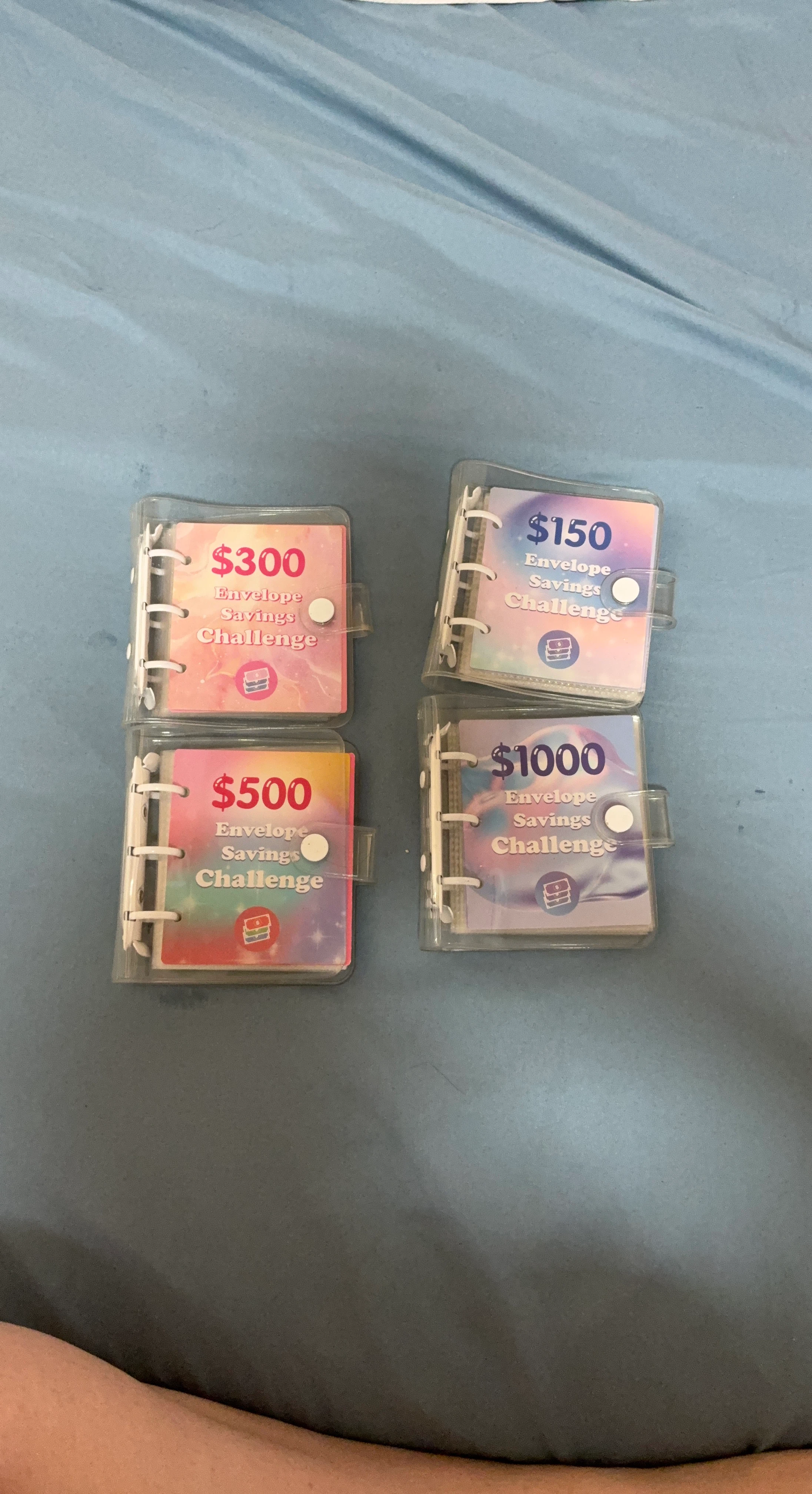 Envelope Savings Challenge Mini Binders