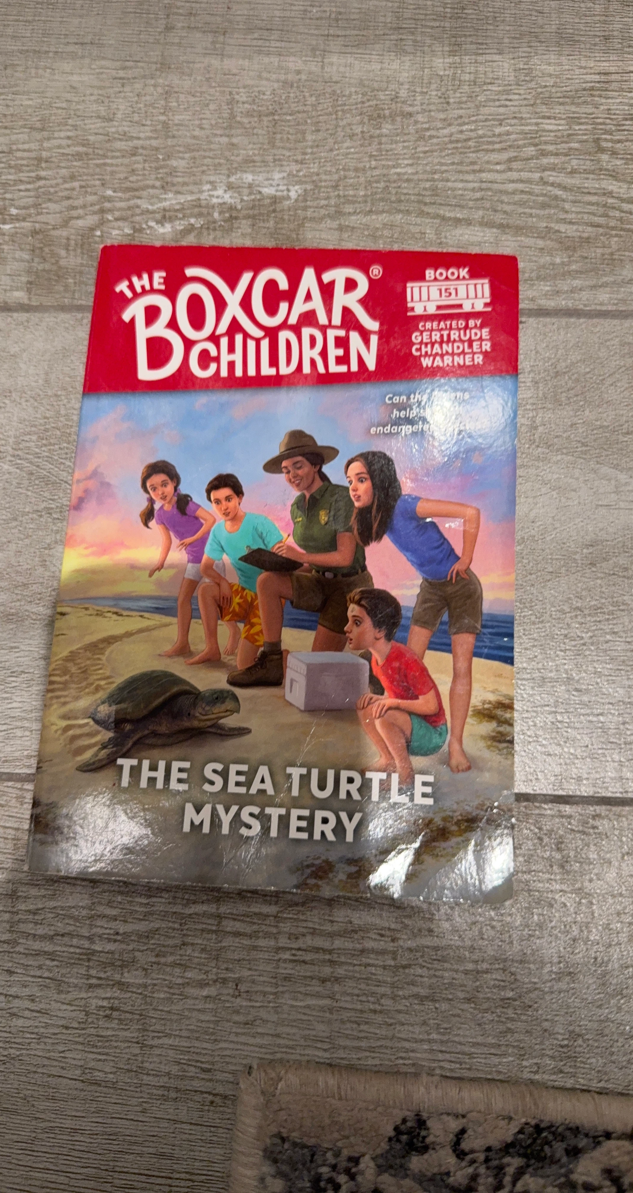 The Boxcar Children: The Sea Turtle Mystery Book #151