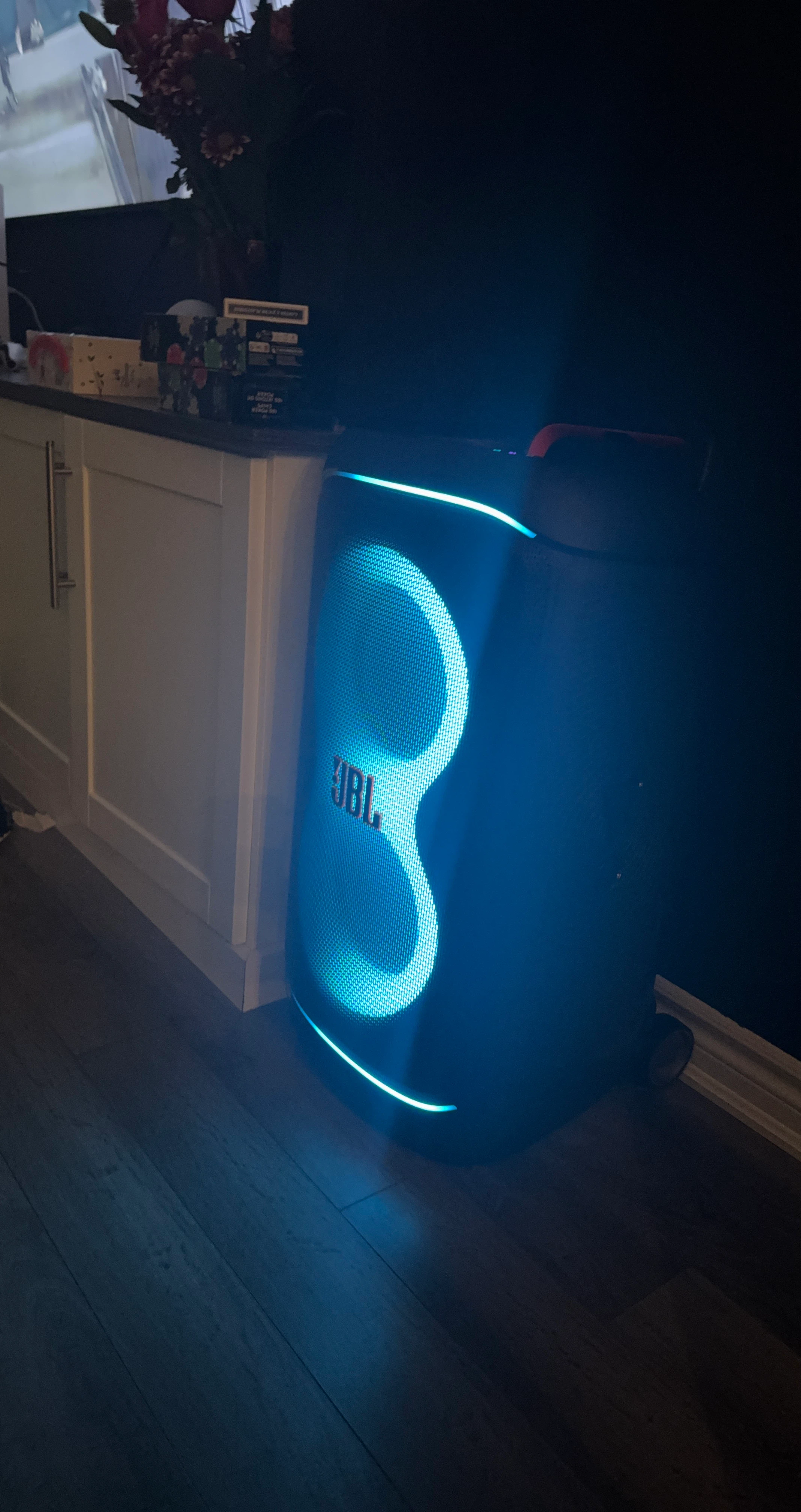 JBL Party Speaker 520