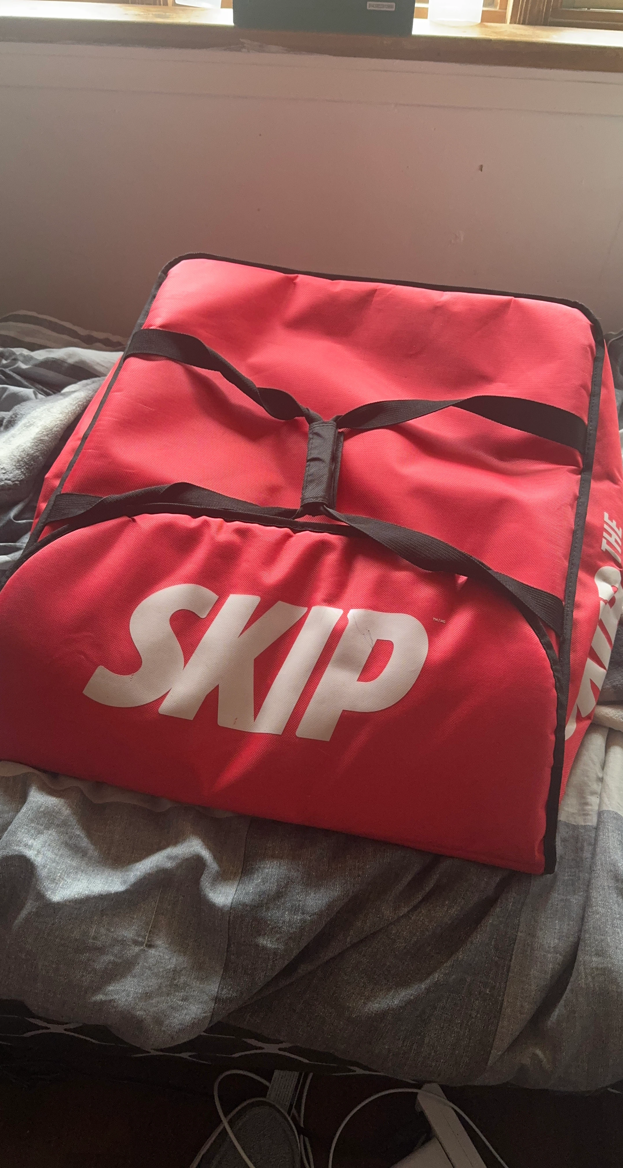 SkipTheDishes Insulated Pizza Bag
