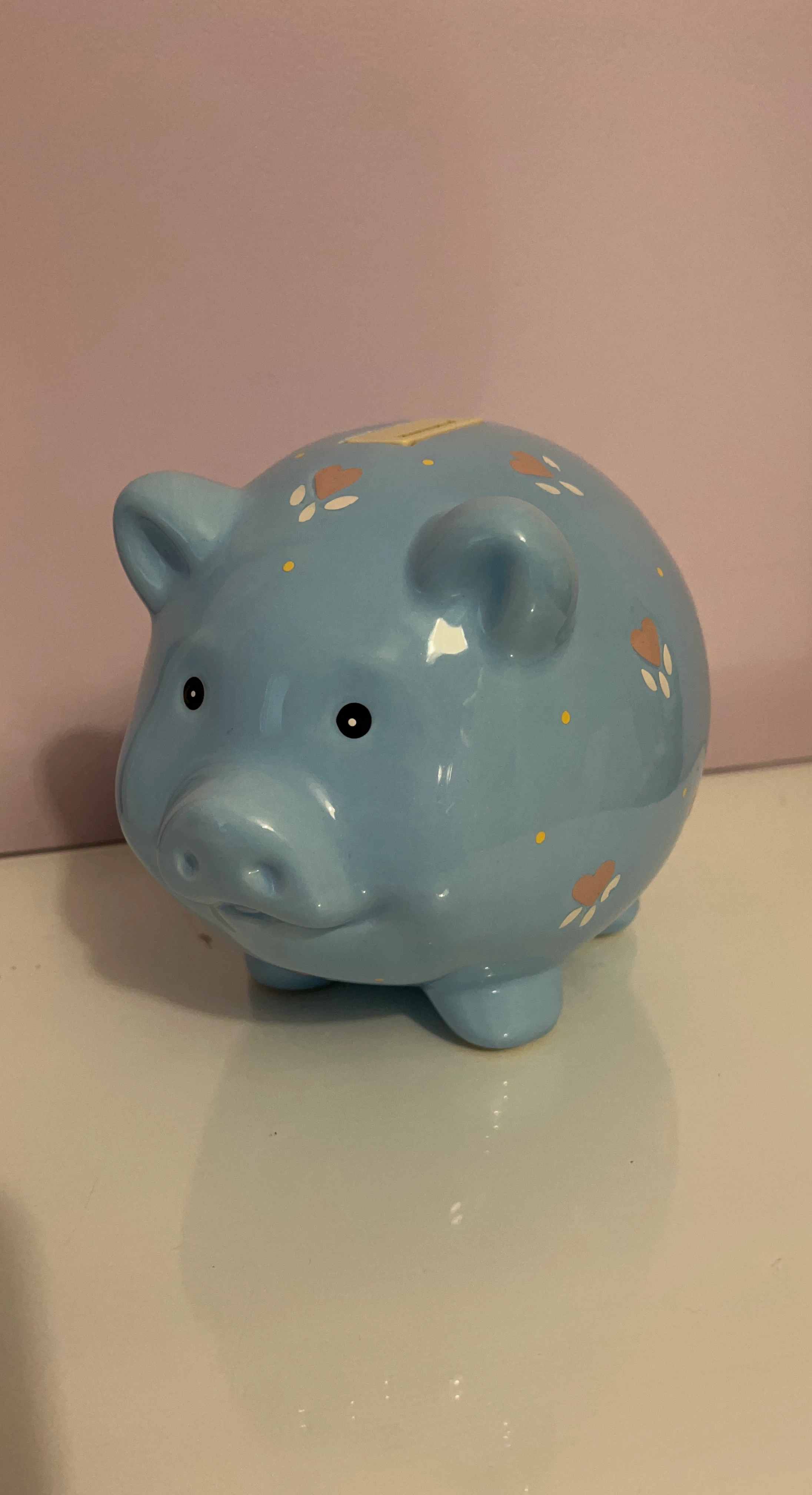 Blue Piggy Bank with Paw Prints