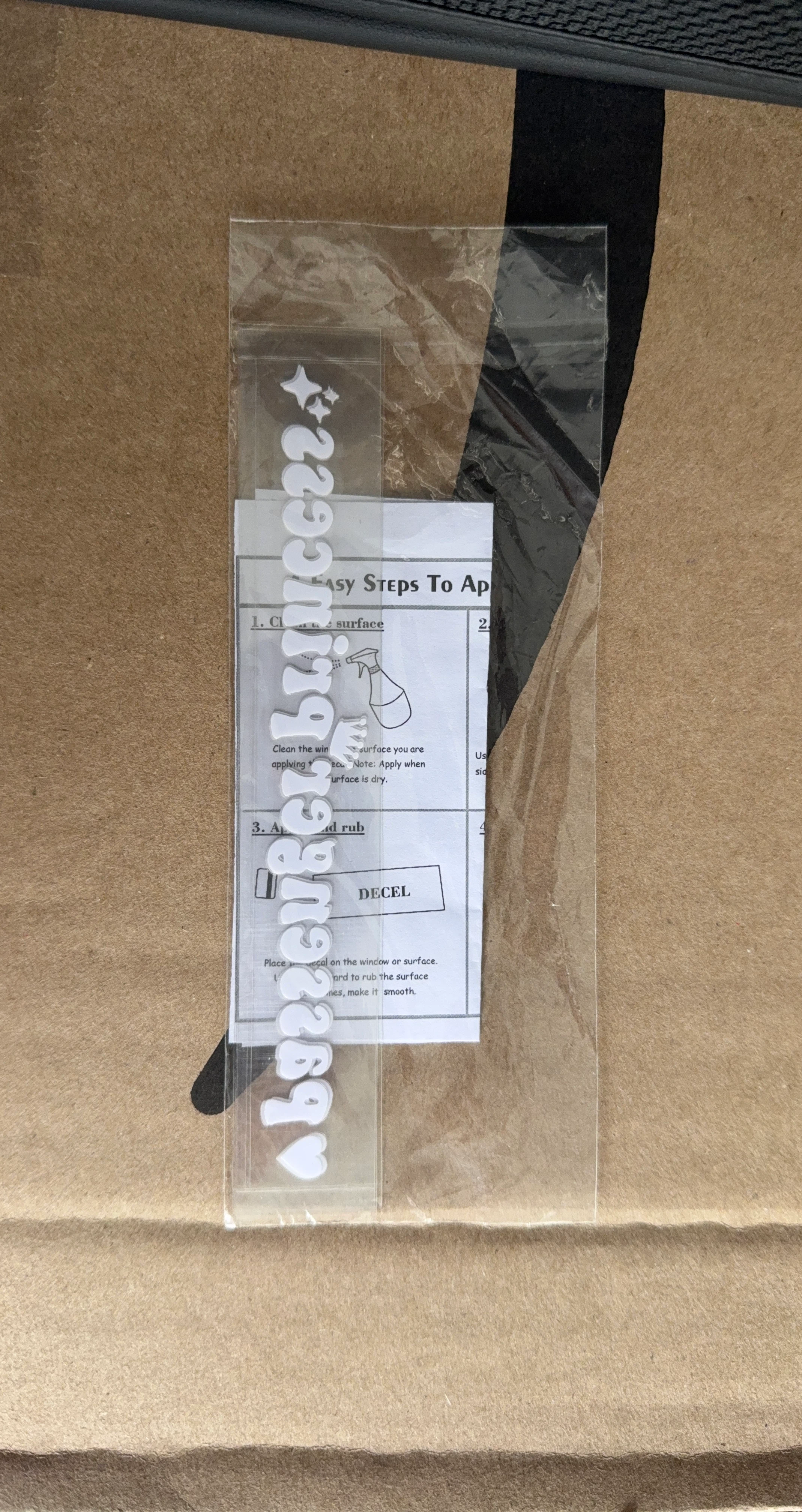 White 'Passenger Princess ' Decal
