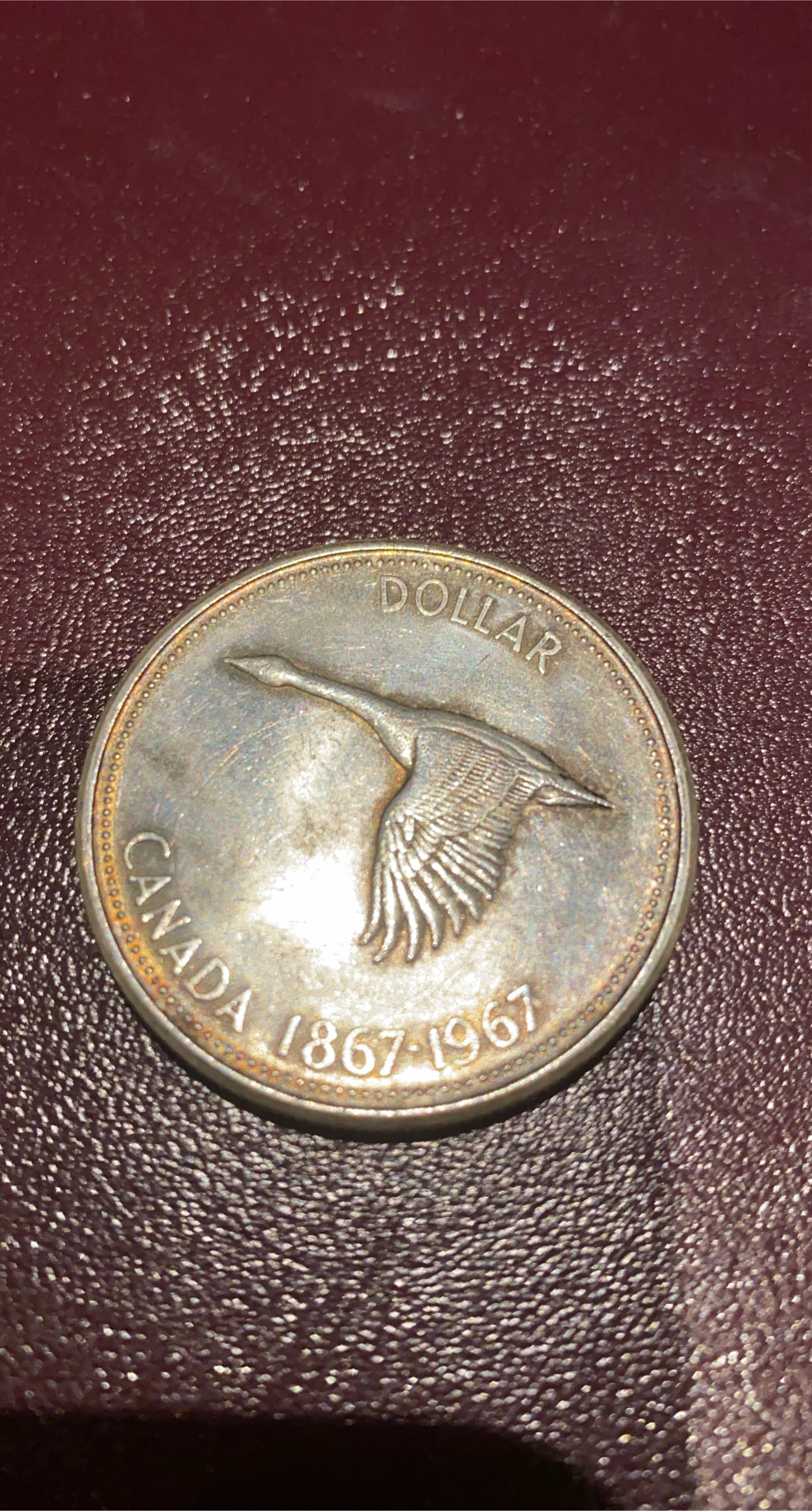 Canada 1867-1967 Dollar Coin