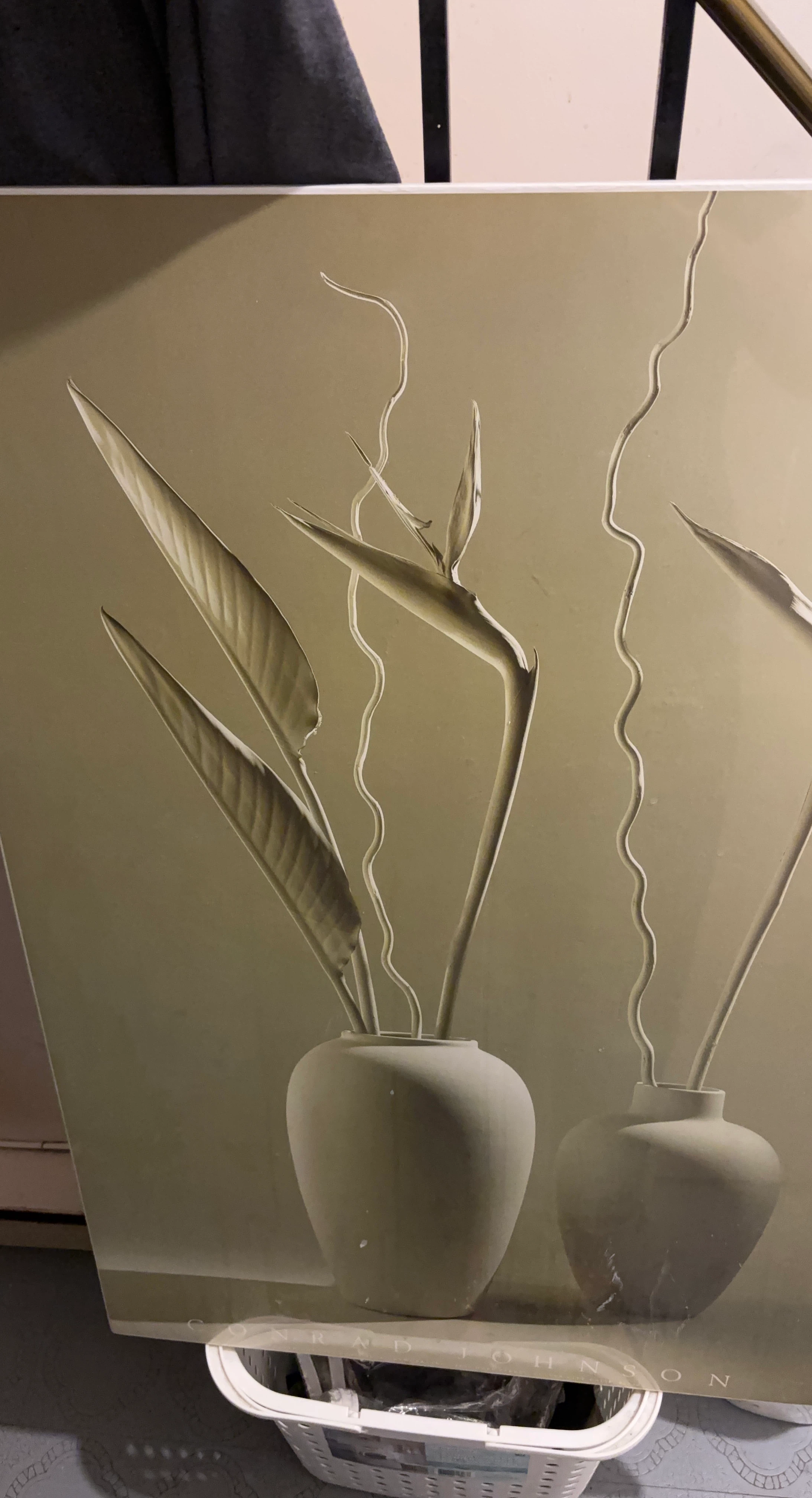 Conrad Johnson Botanical Print Wall Art
