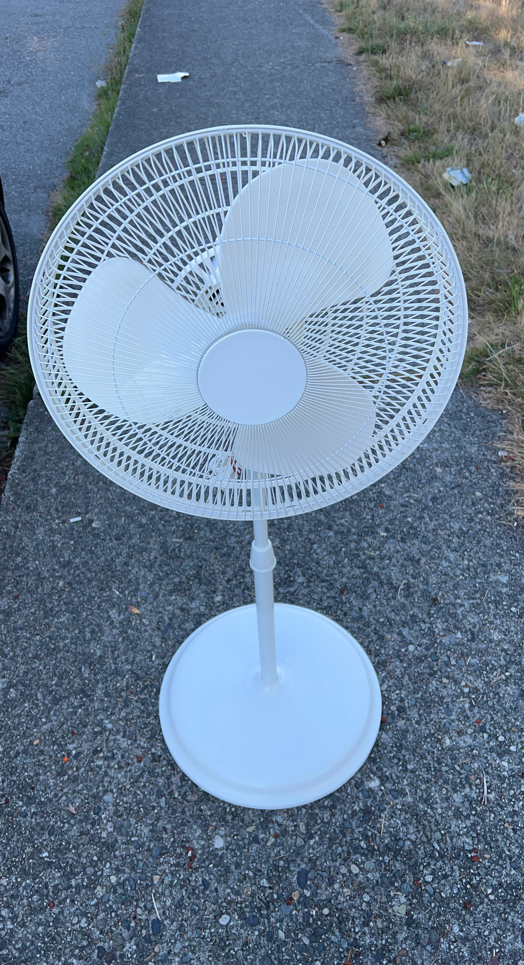 Pedestal Fan