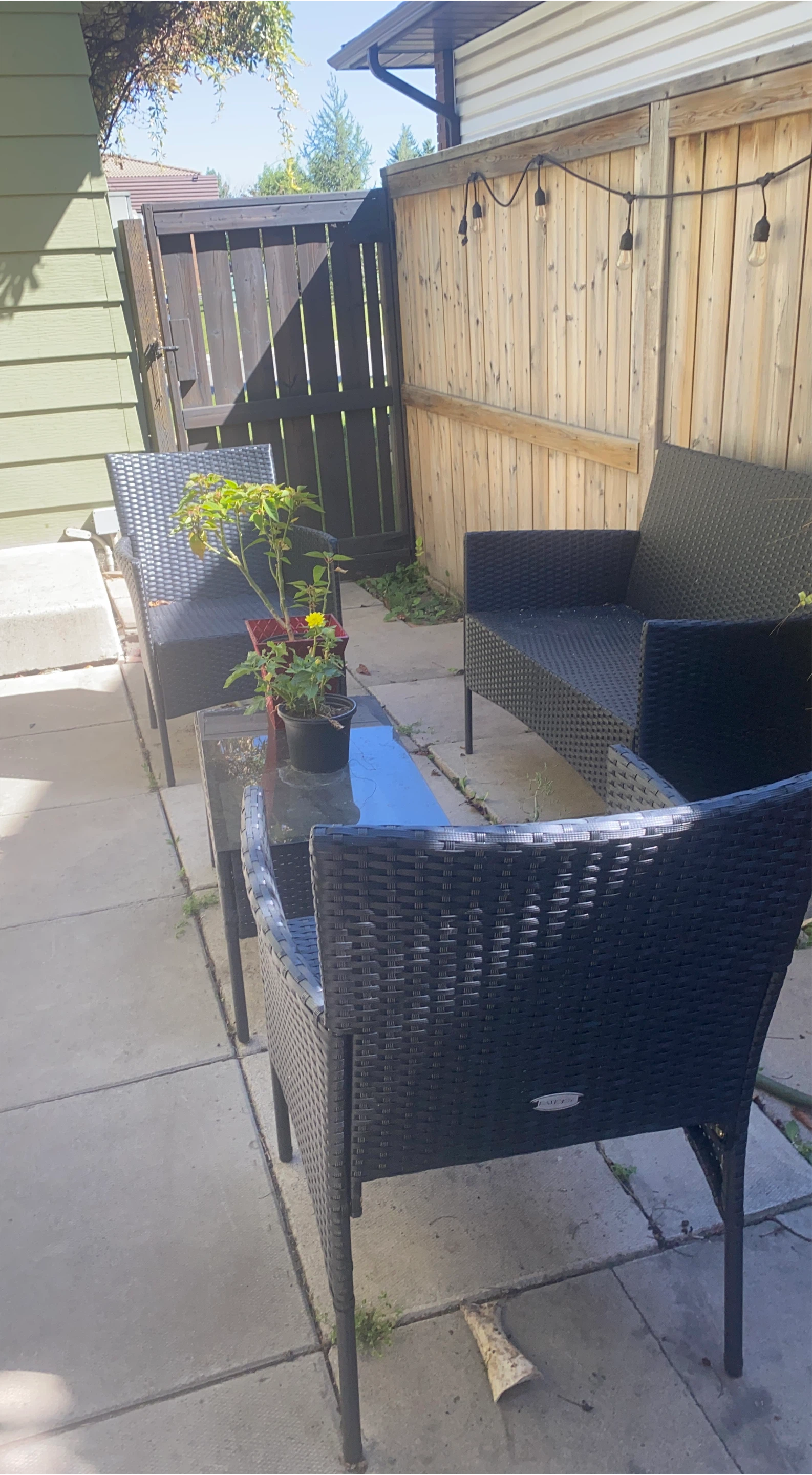 Black Rattan Patio Set