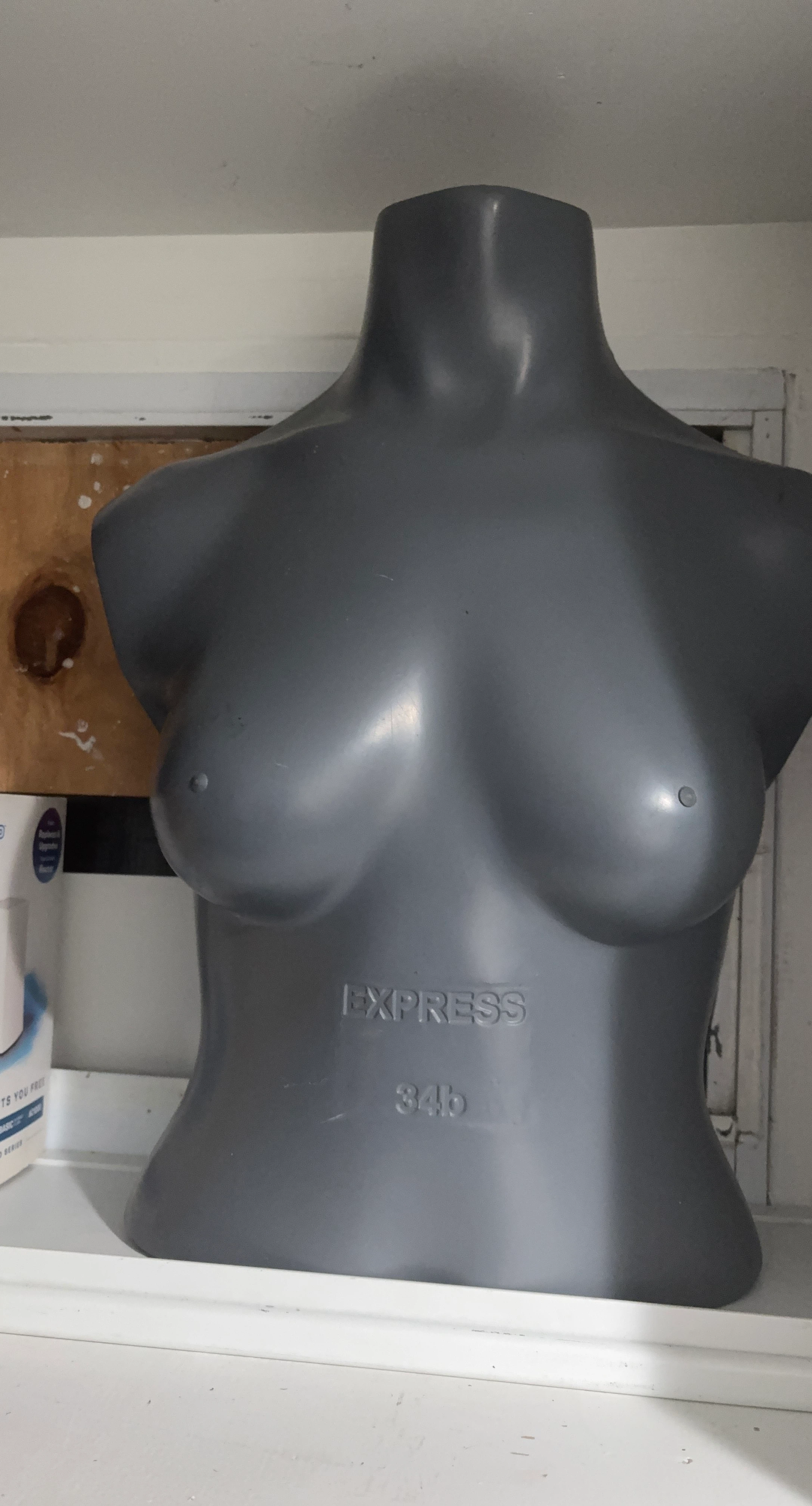 Express 34B Mannequin Torso