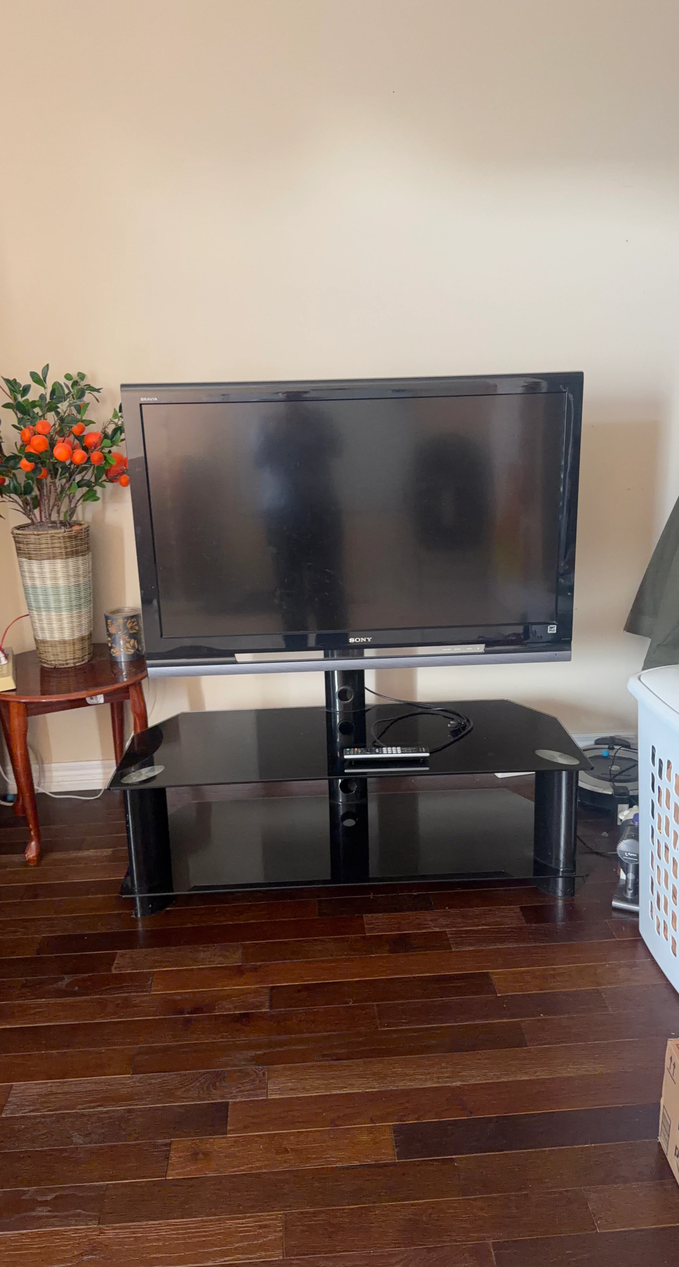 Sony Bravia Flat Screen TV and Stand