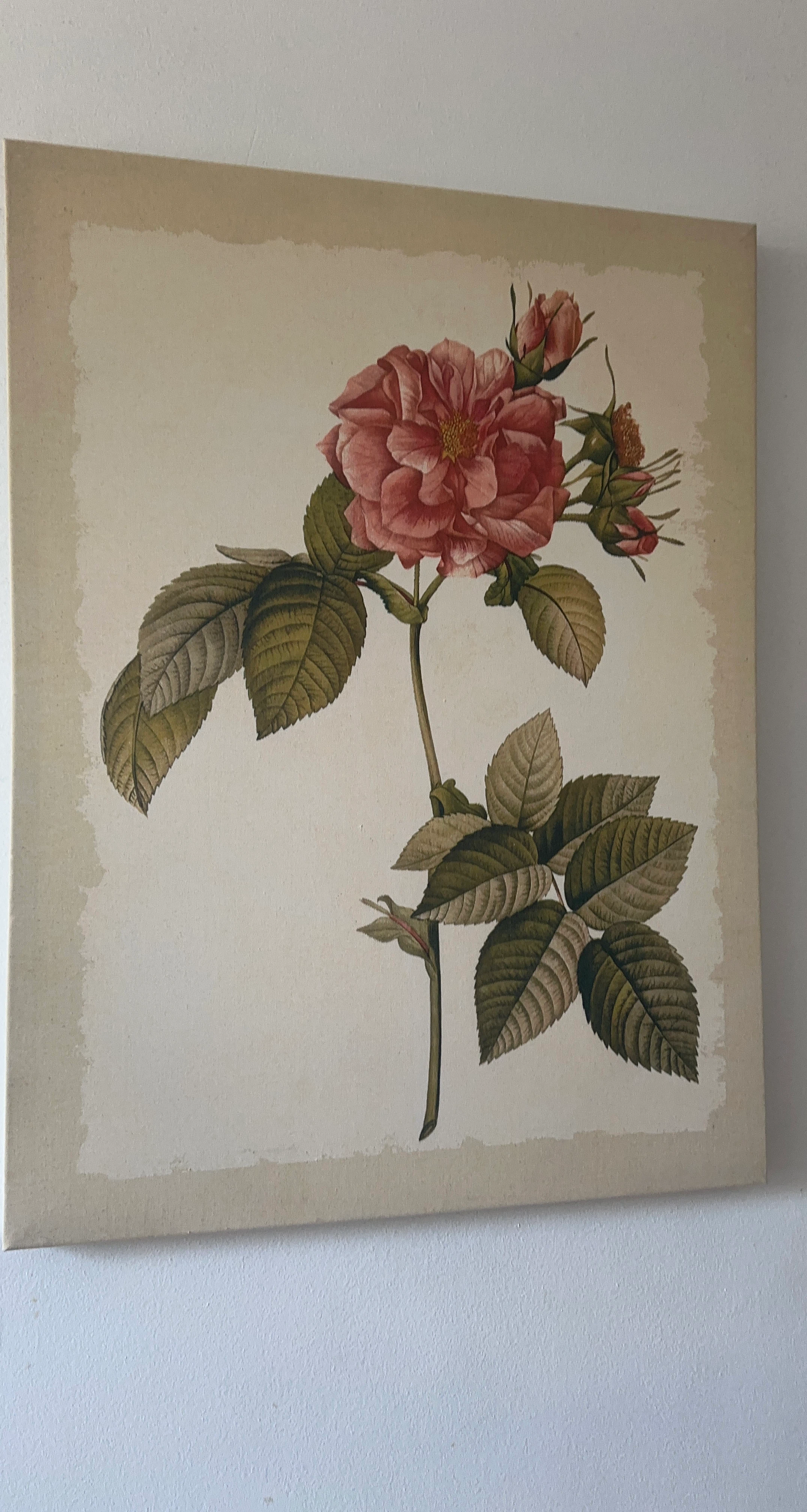 Canvas Print of Pink Rose with Buds