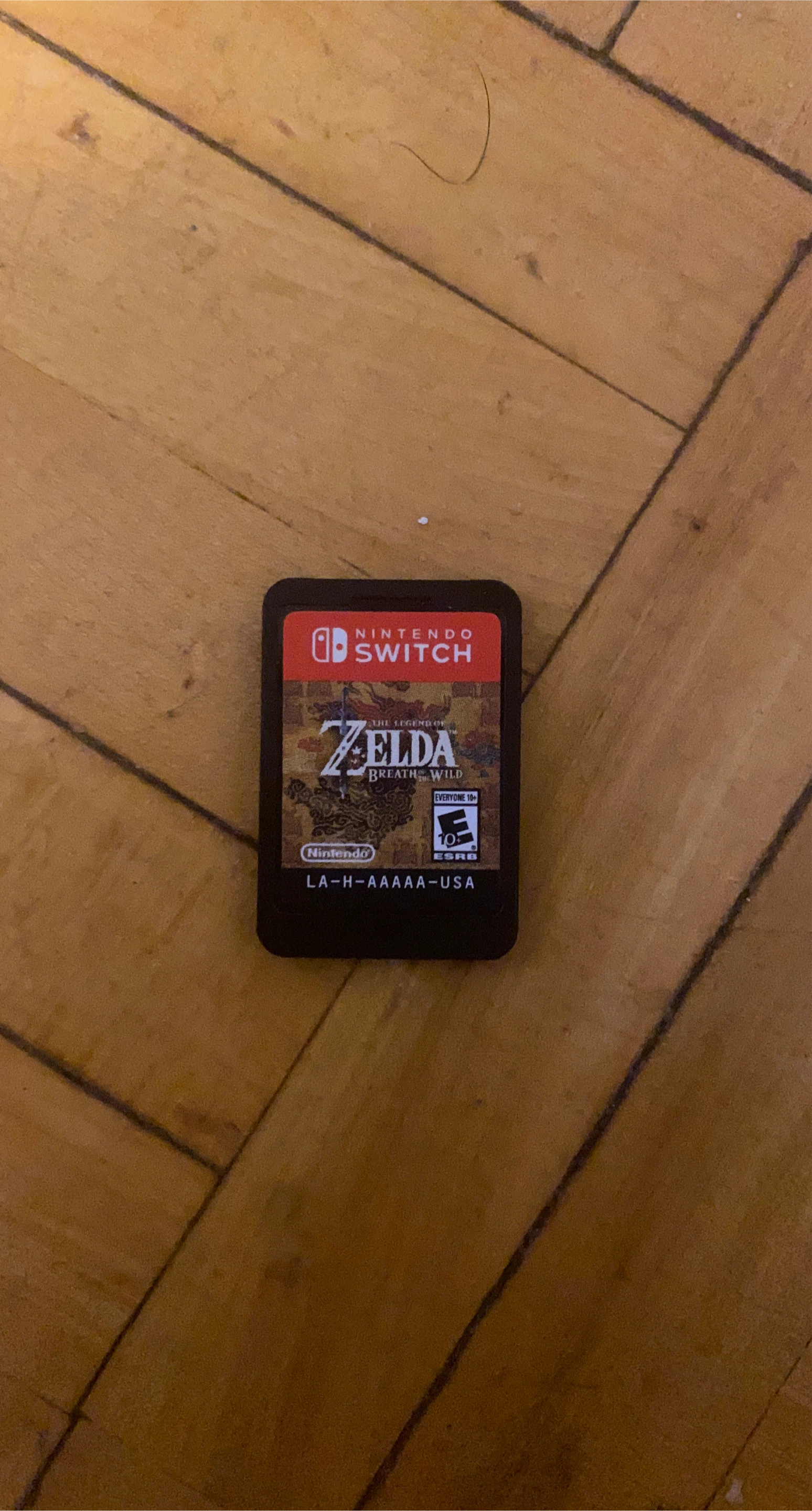 The Legend of Zelda: Breath of the Wild
