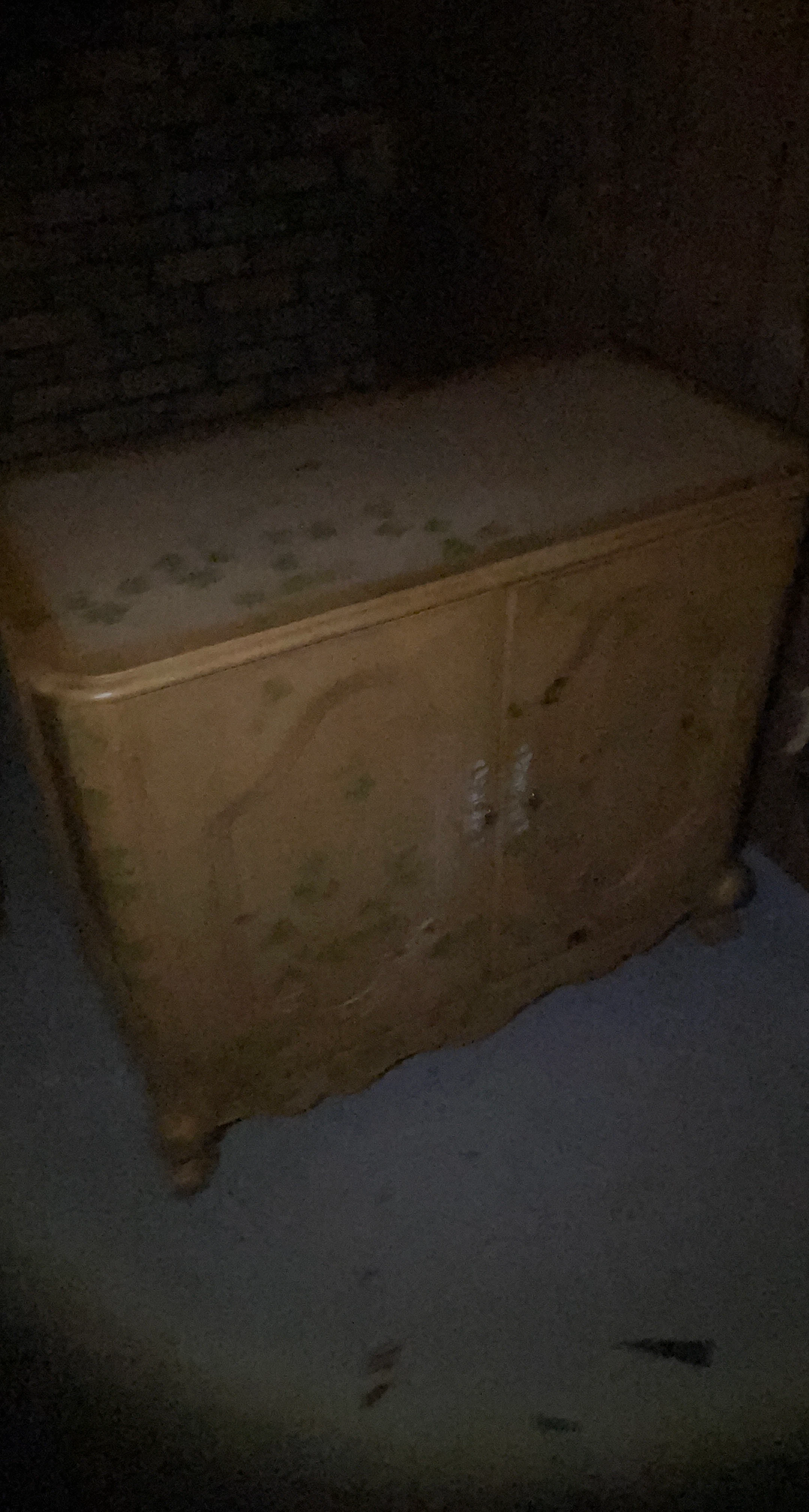 Vintage Accent Cabinet with Double Doors