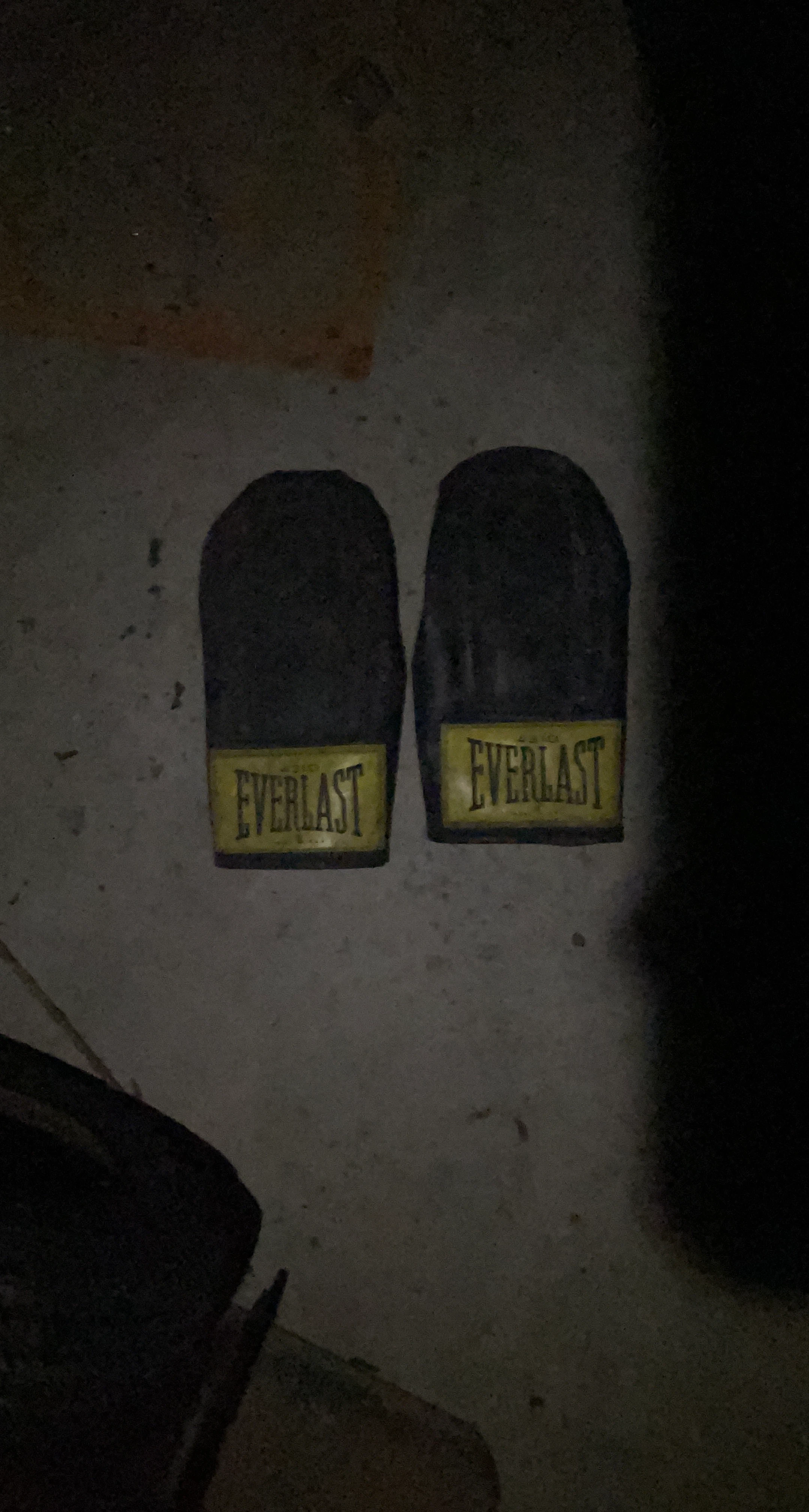 Vintage Everlasting Boxing Gloves/Mitts