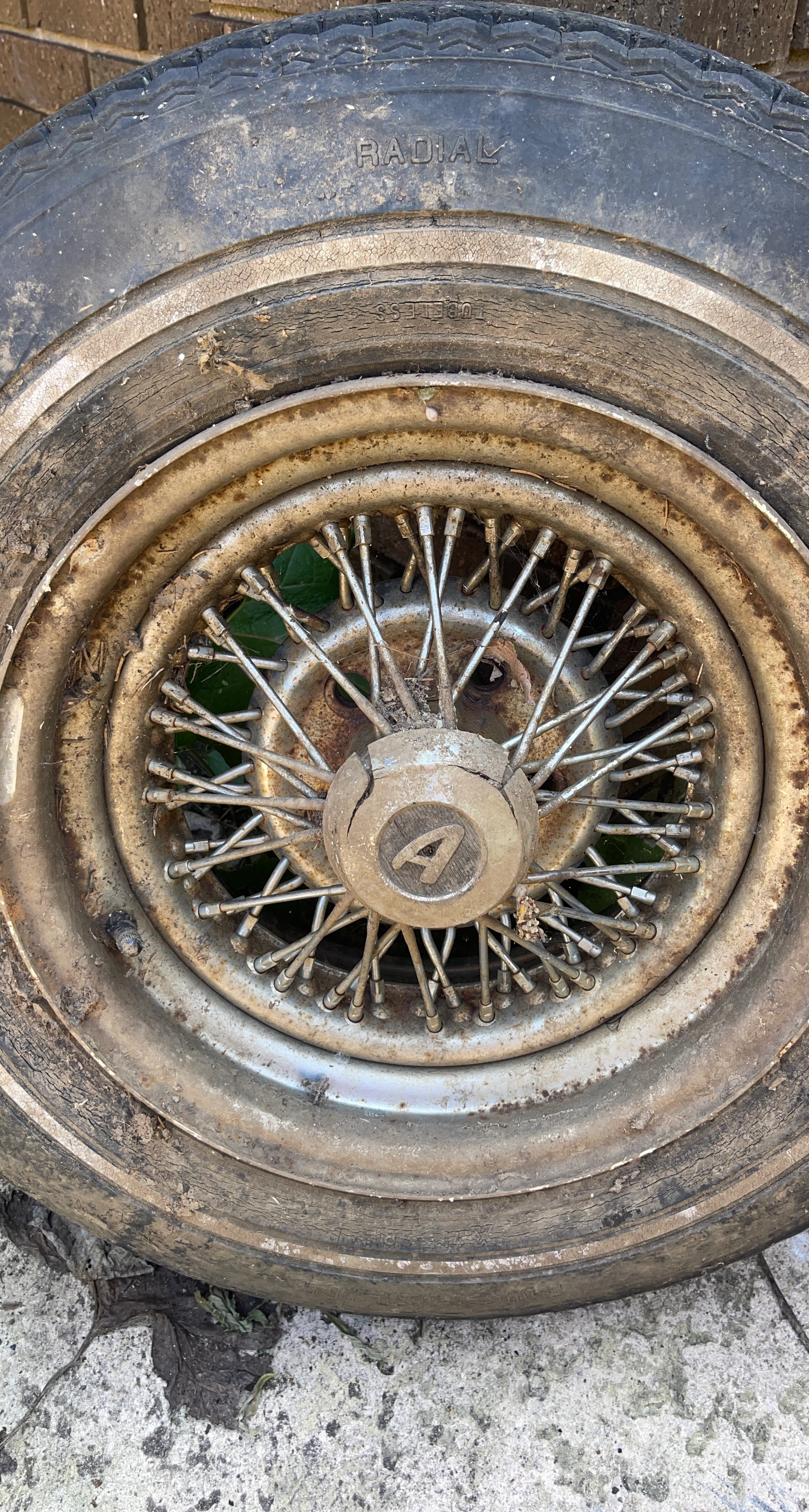 Wire Wheel with "A" Hubcap