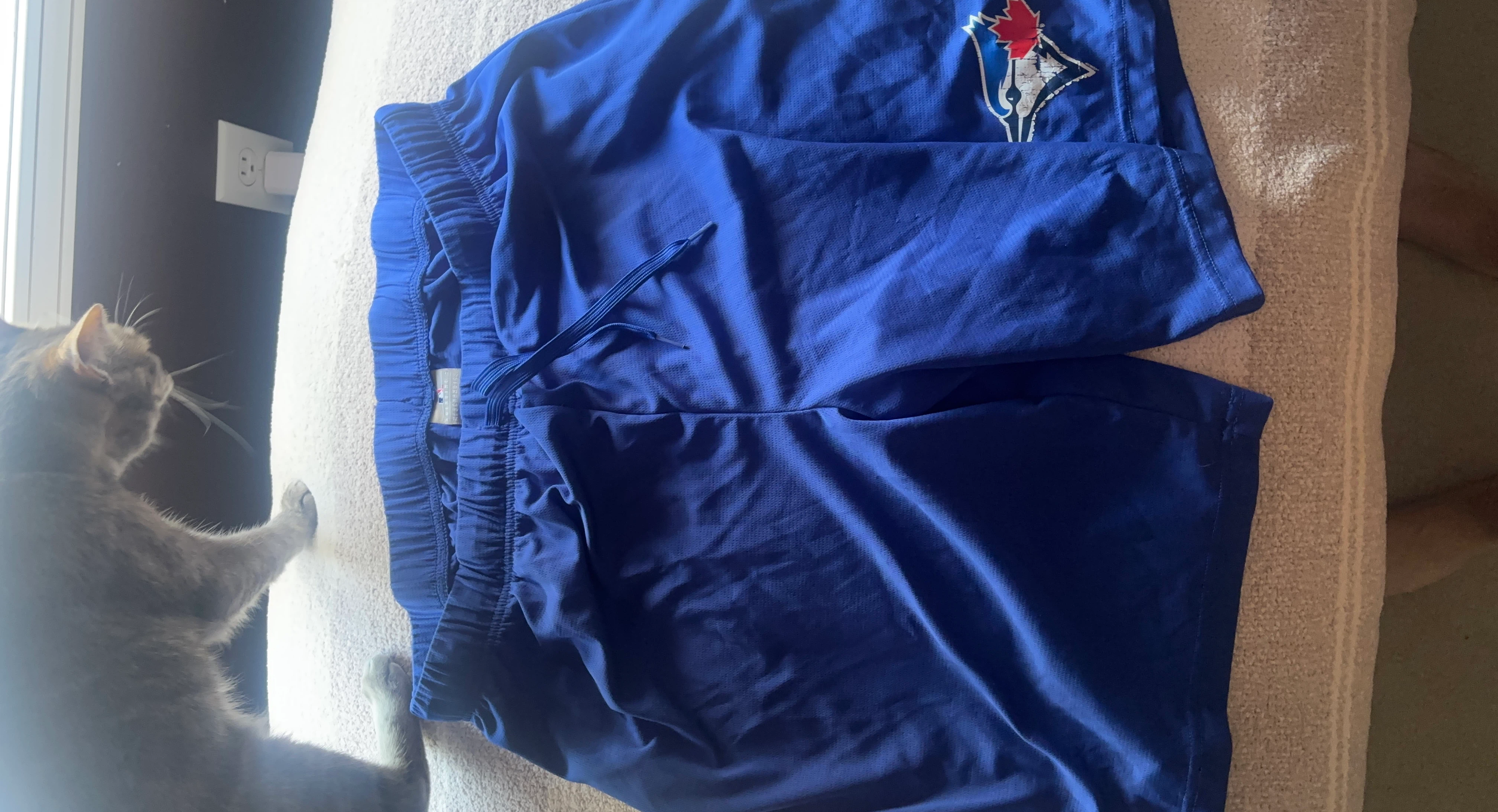 Toronto Blue Jays Baseball Shorts