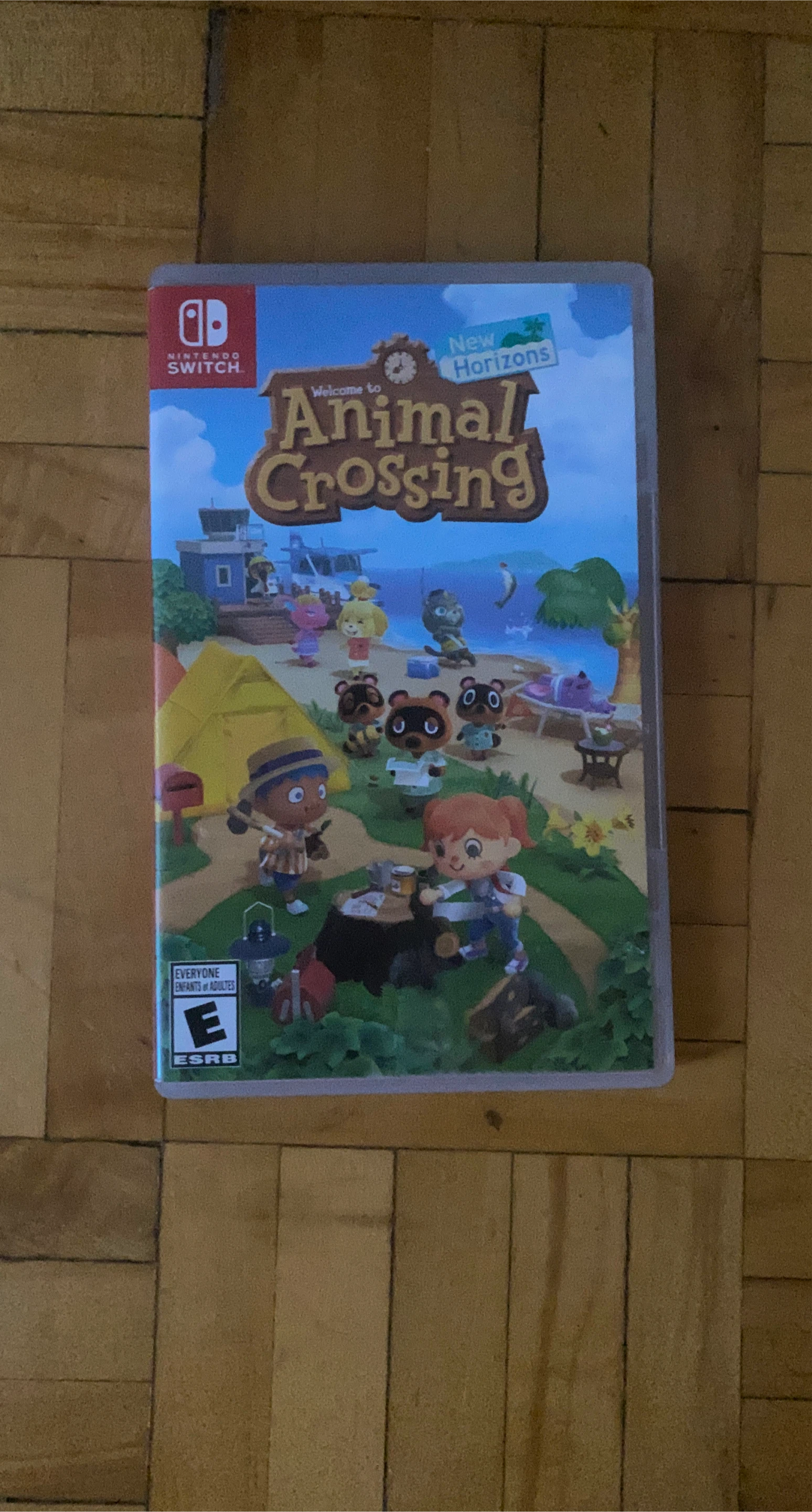 Nintendo Switch Animal Crossing: New Horizons Game