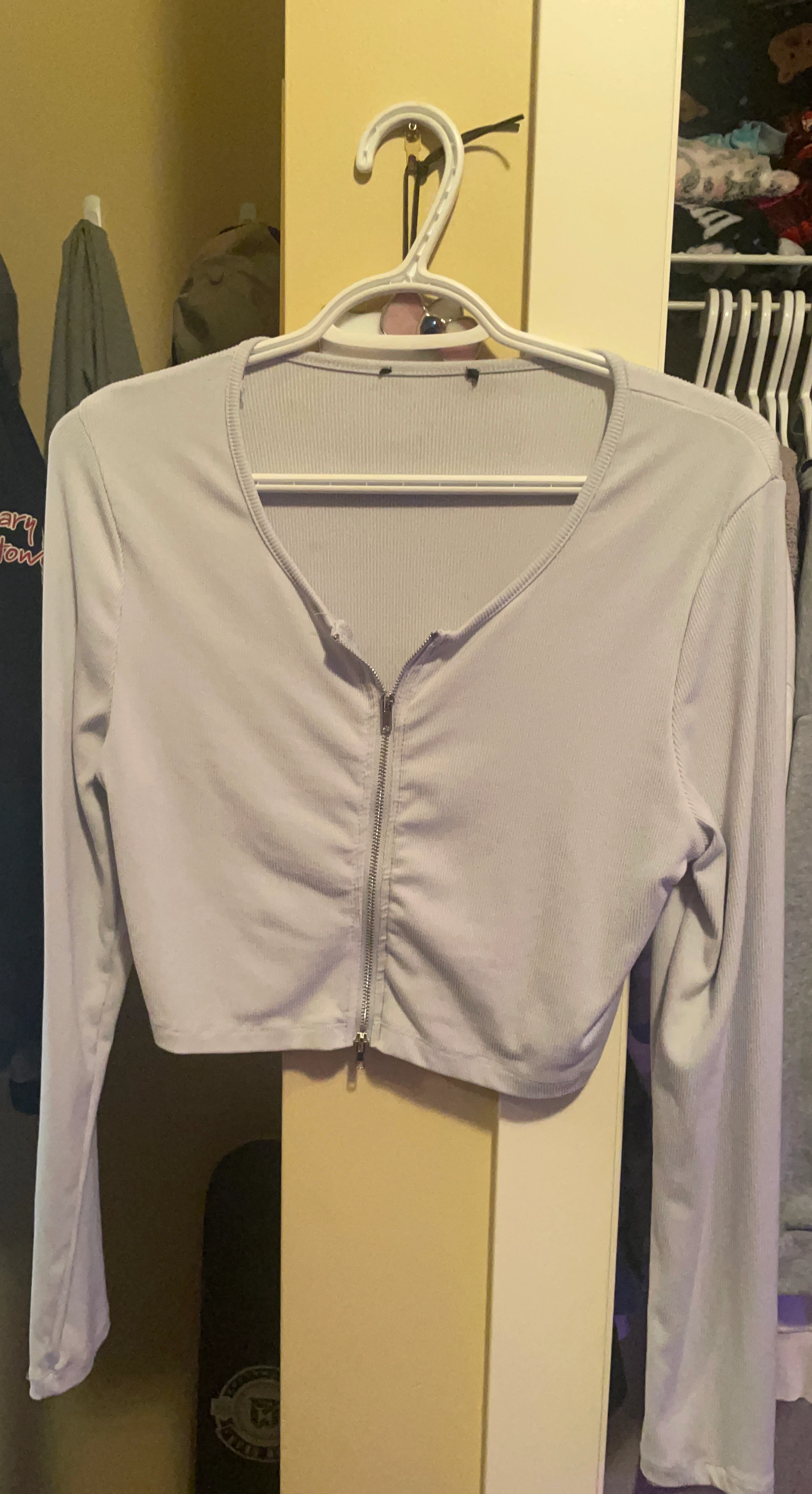Light blue Cropped Zip-Up Top
