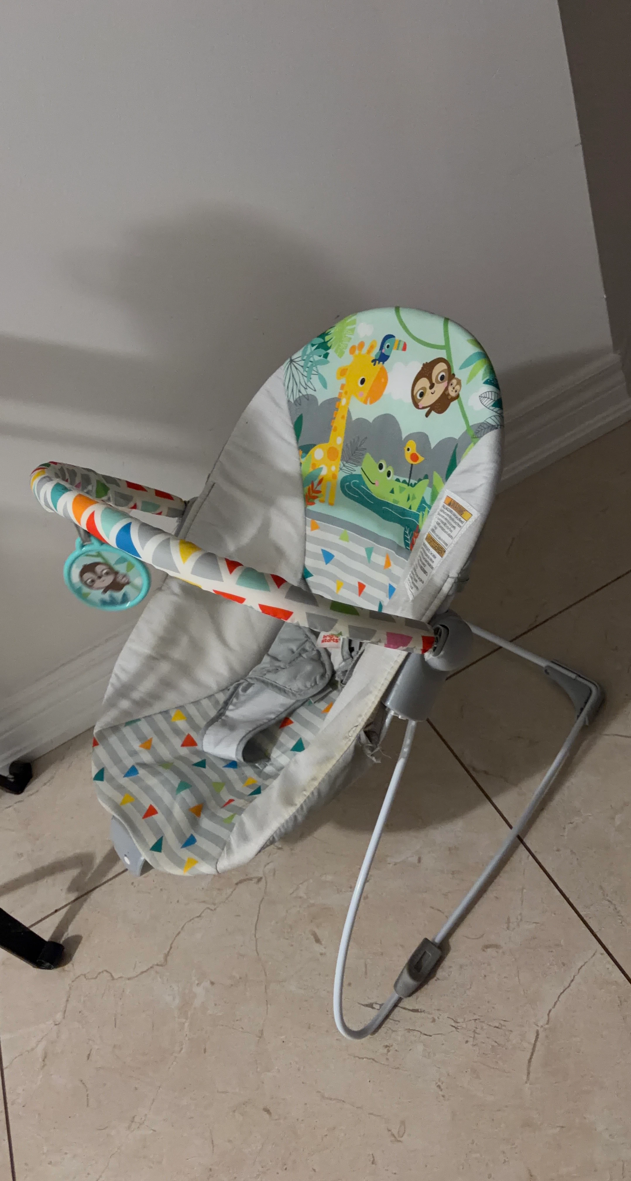 Bright Starts baby bouncer