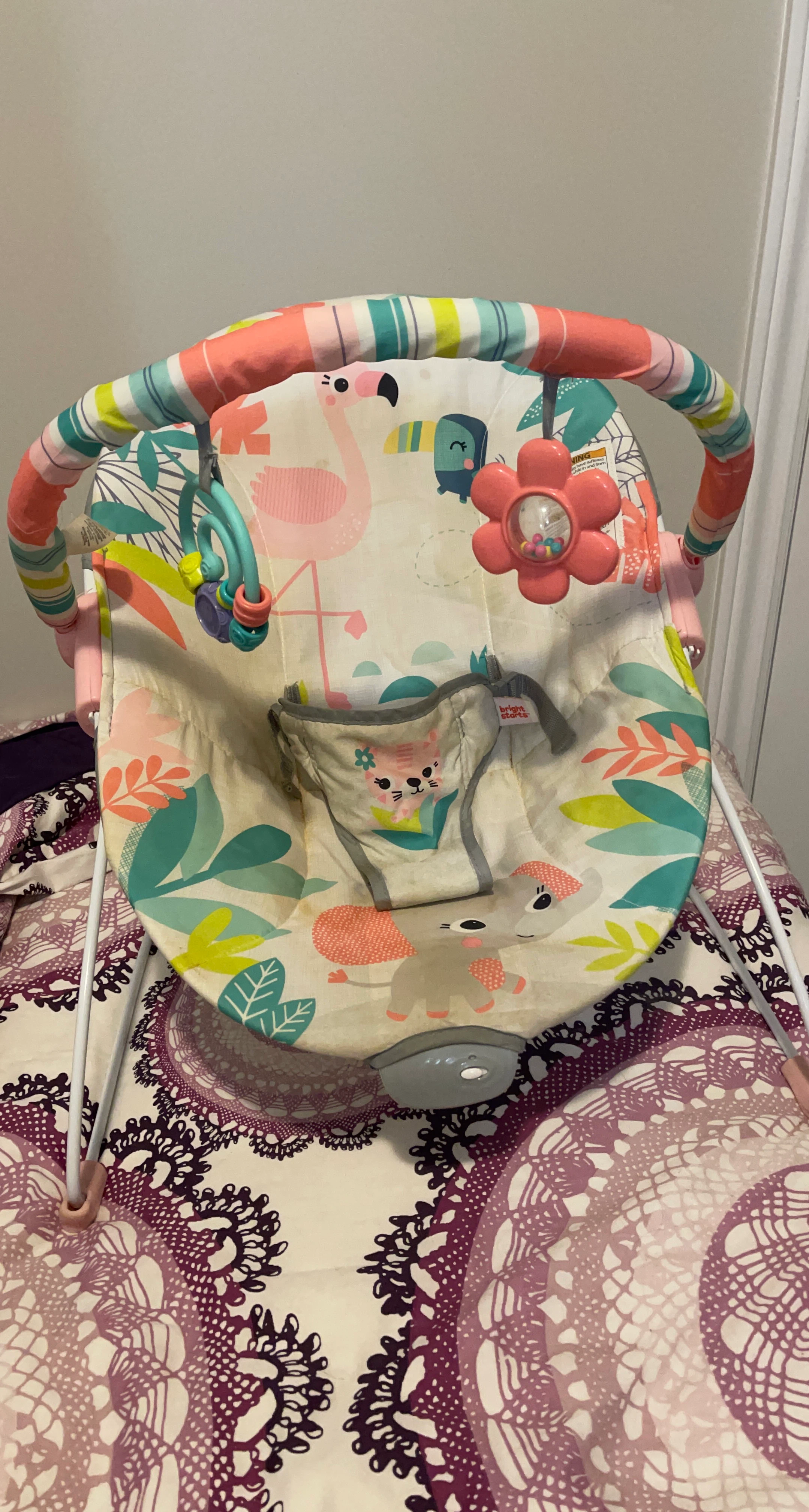 Bright Starts Baby Bouncer Seat
