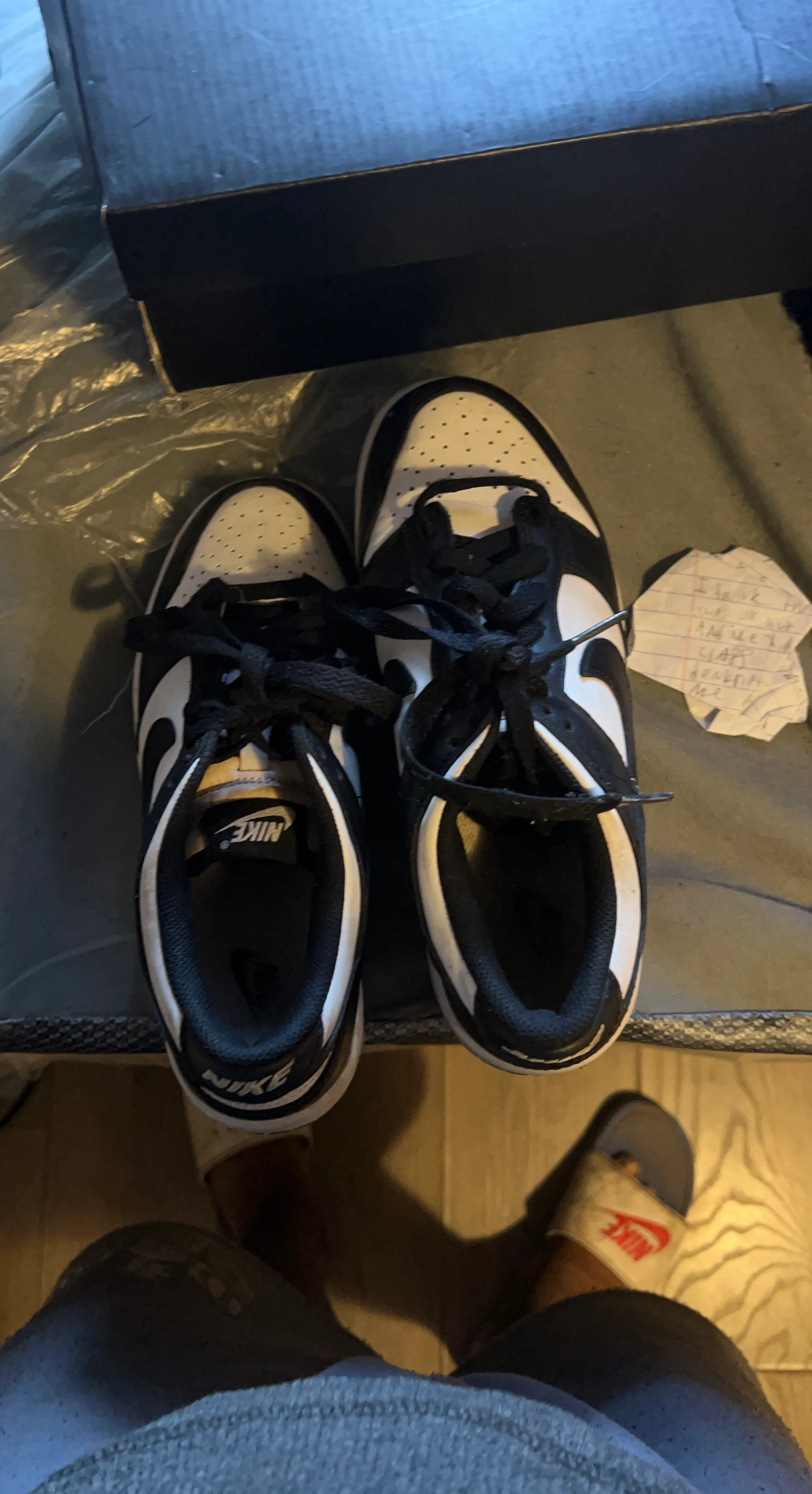 Nike Dunk Low Shoes