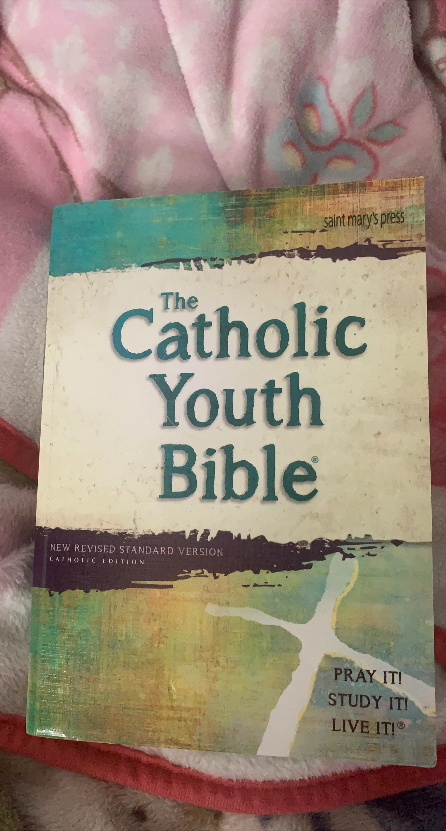 The Catholic Youth Bible - Saint Mary's Press