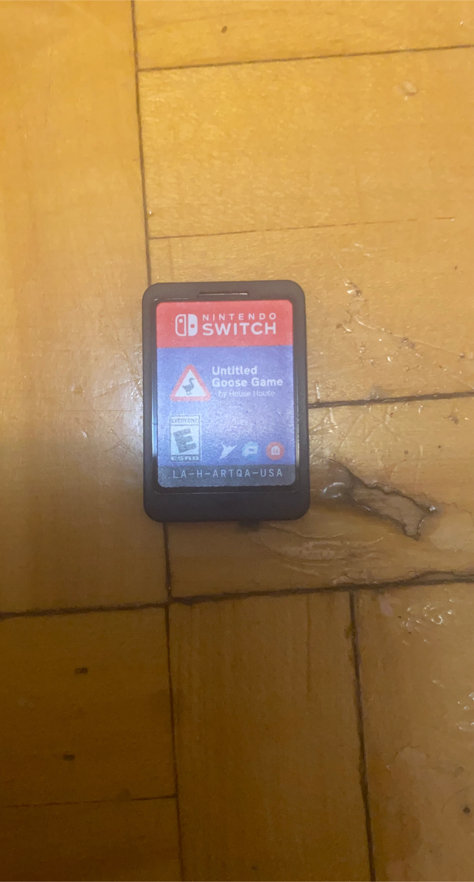 Nintendo Switch Untitled Goose Game Cartridge