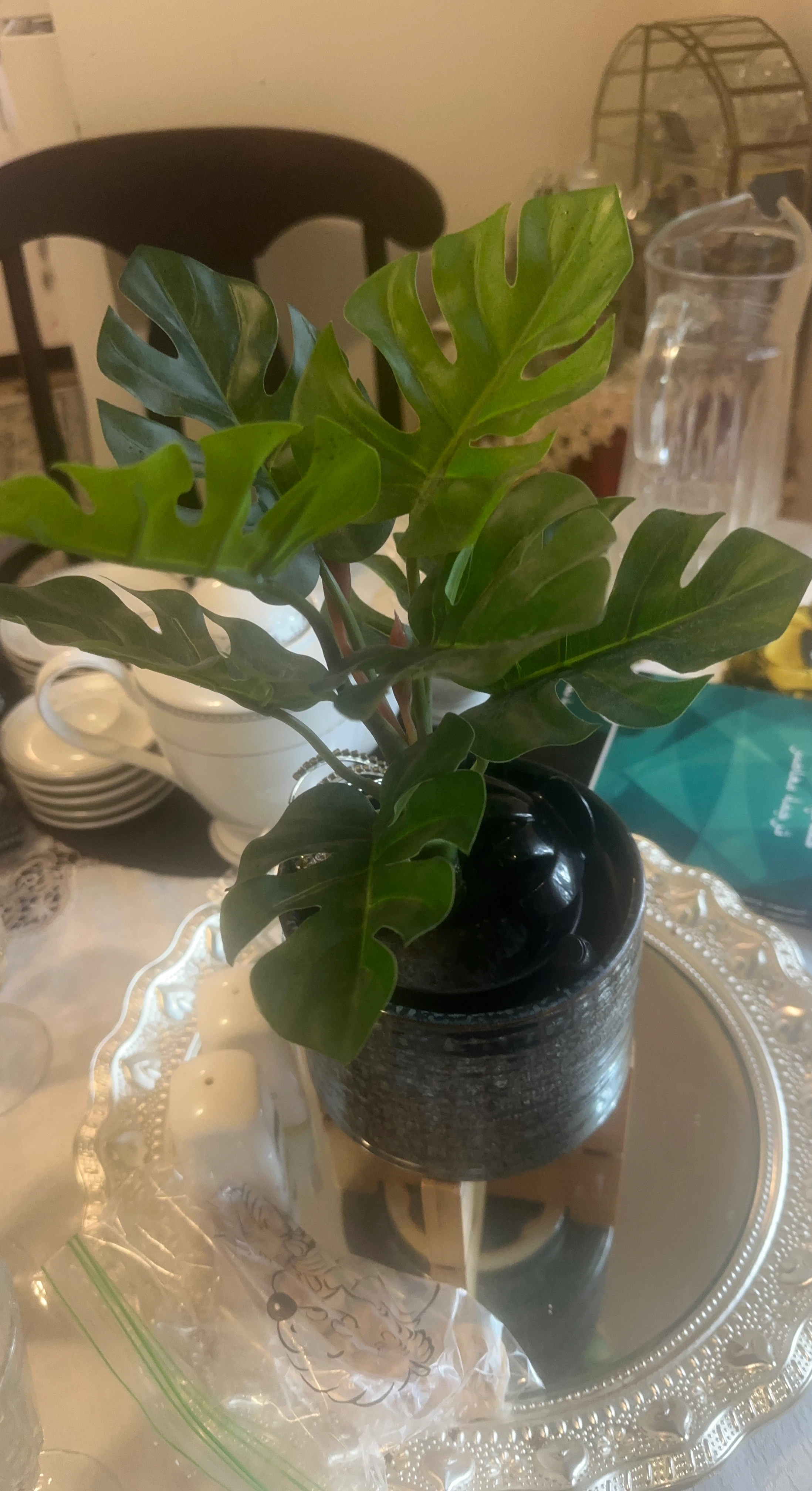 Artificial Monstera Plant in Speckled Pot