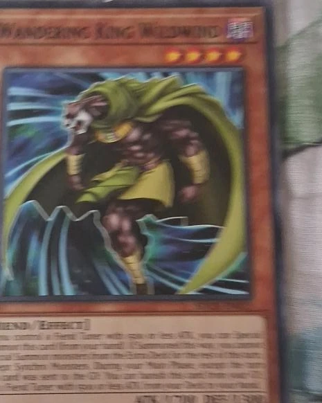 Wandering King Wildwind Yu-Gi-Oh! Card