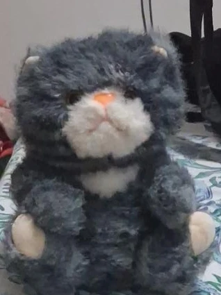 Plush Cat Toy