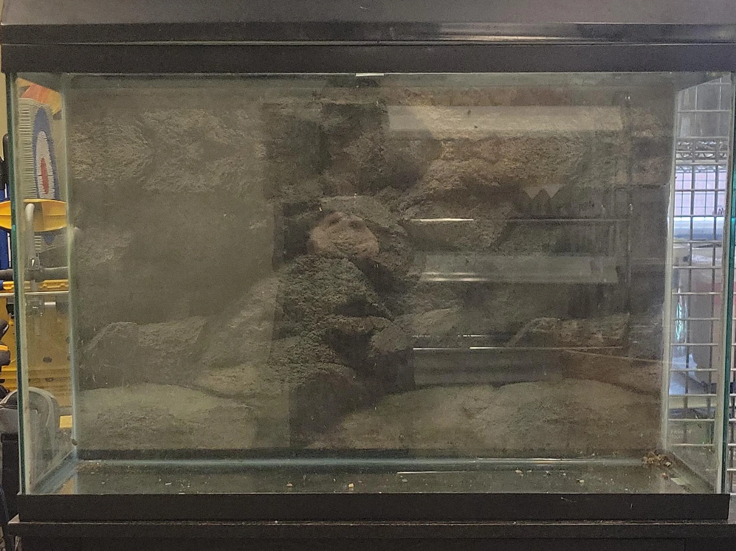 Aquarium with Stand