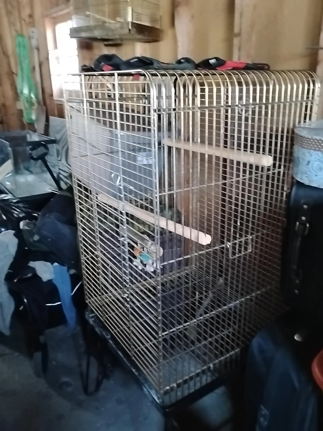 Large Bird Cage