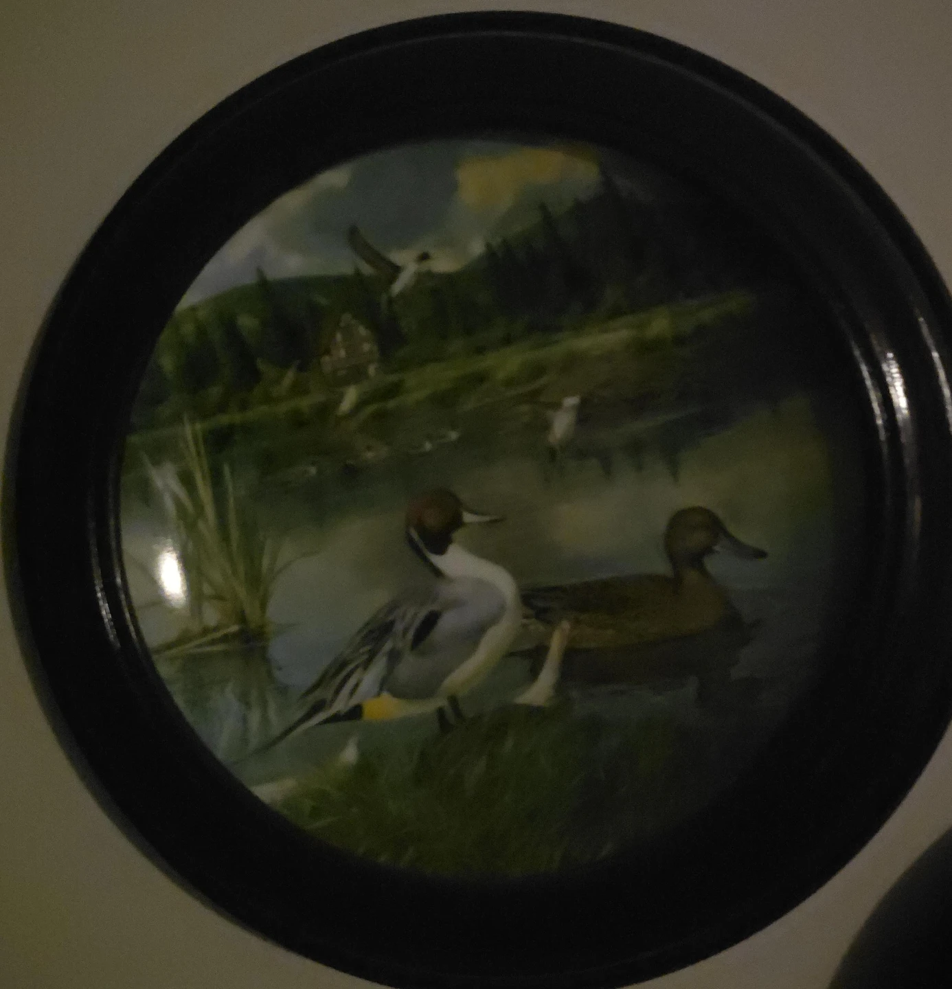 Decorative Plate with Ducks
