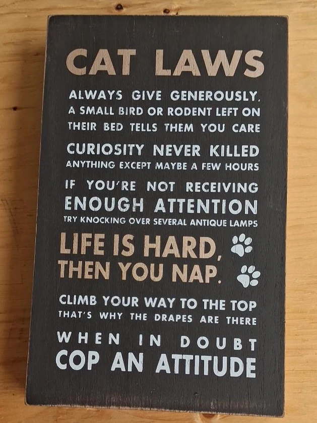 Cat Laws Decorative Sign