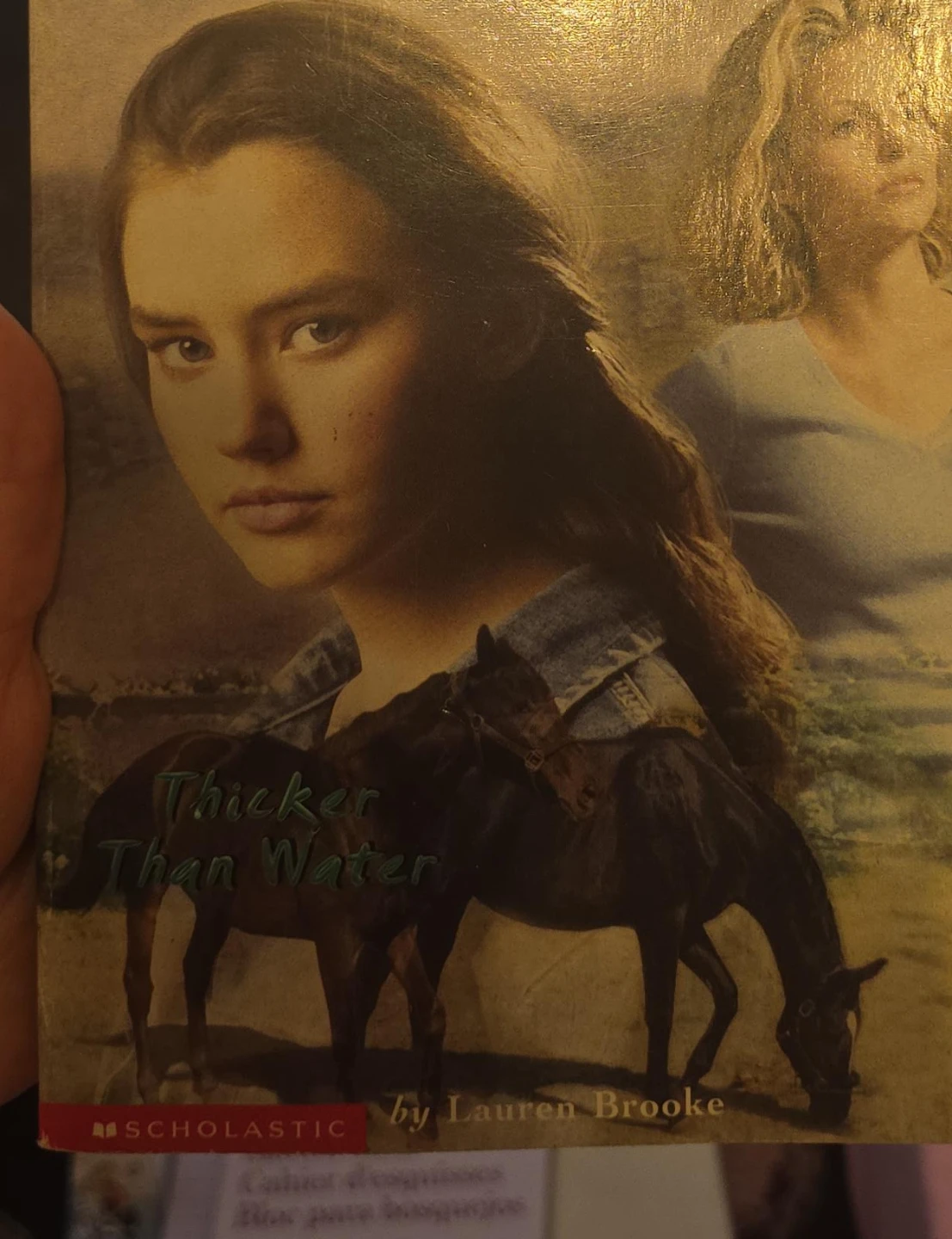 Thicker Than Water by Lauren Brooke Book