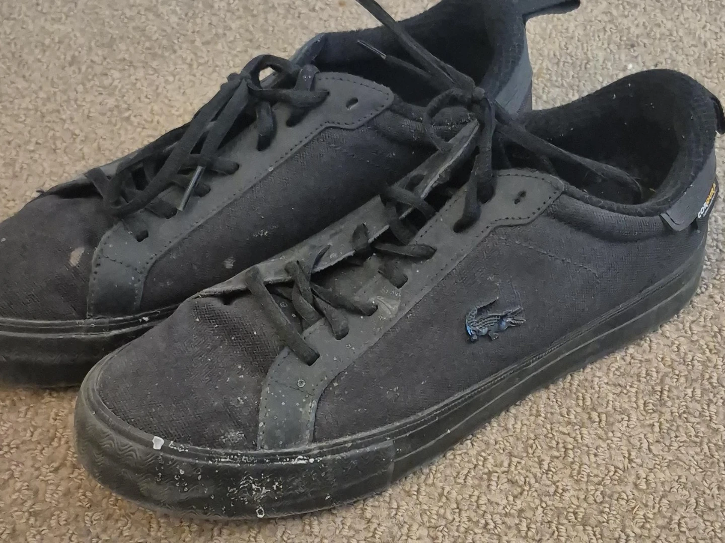 Lacoste Black Canvas Sneakers