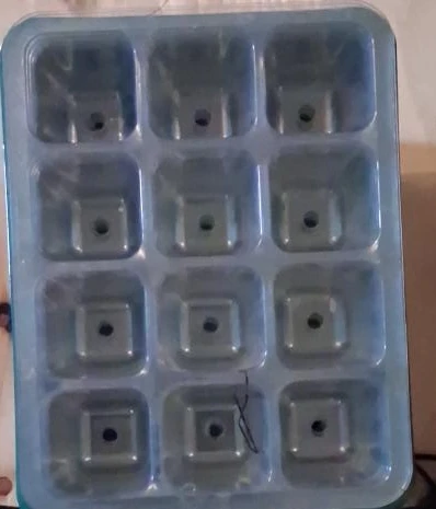 12-cell Seedling Tray with grow light