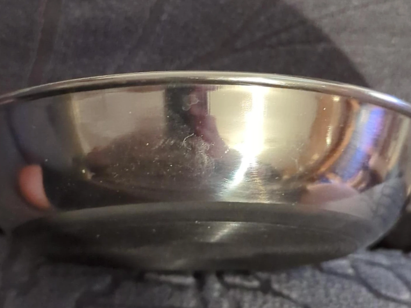 Stainless Steel Pet Bowl