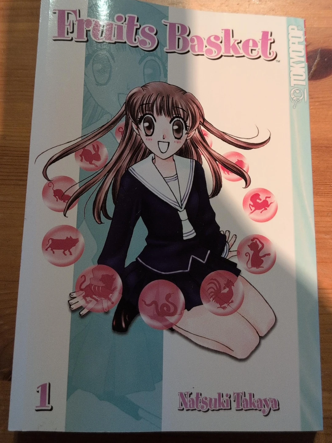 Fruits Basket Volume 1 Manga