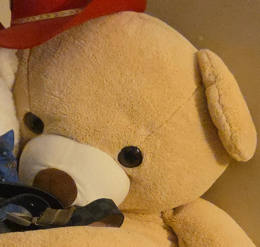 Light Brown Teddy Bear