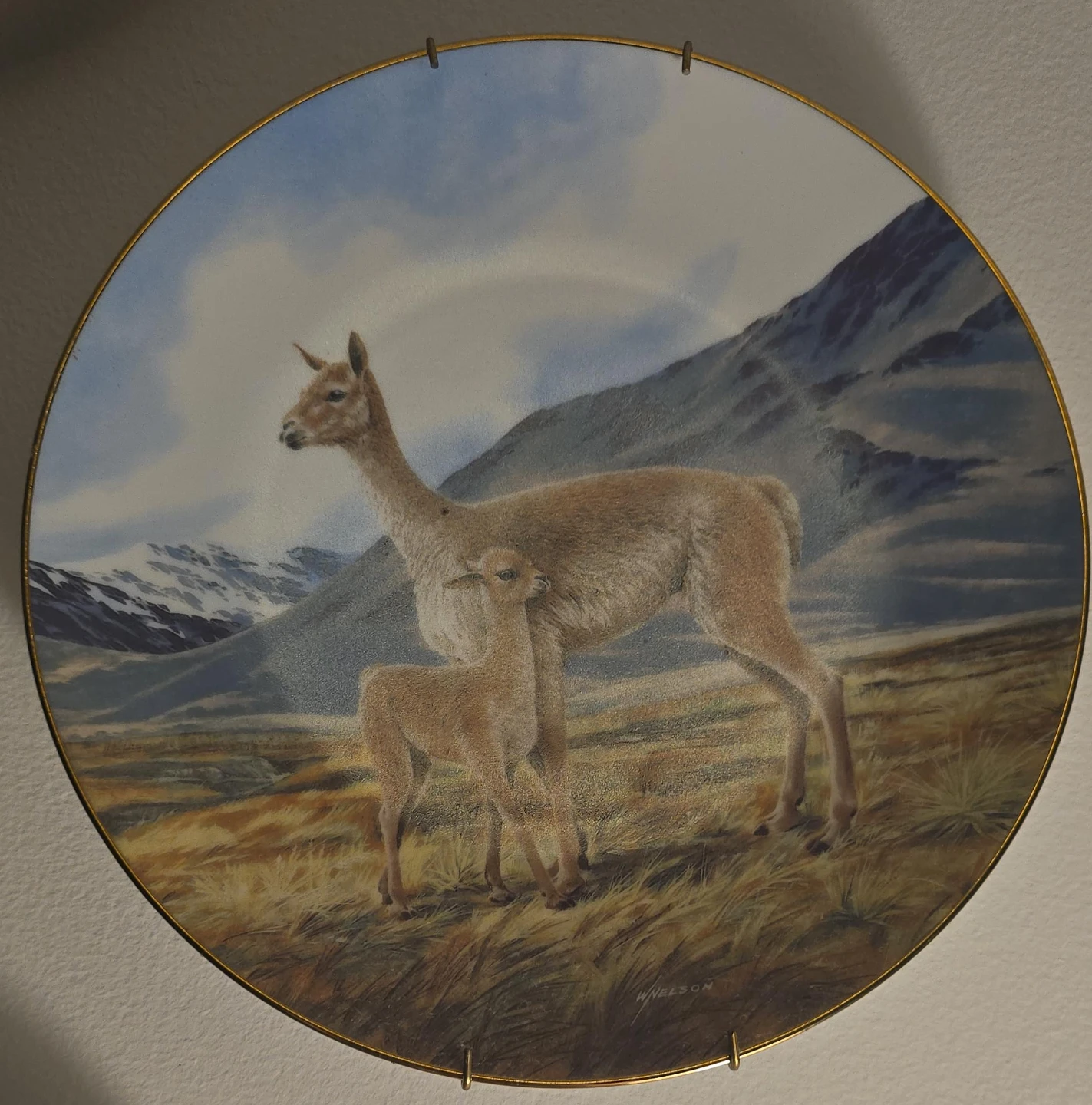 Decorative Plate with Vicuña and Calf