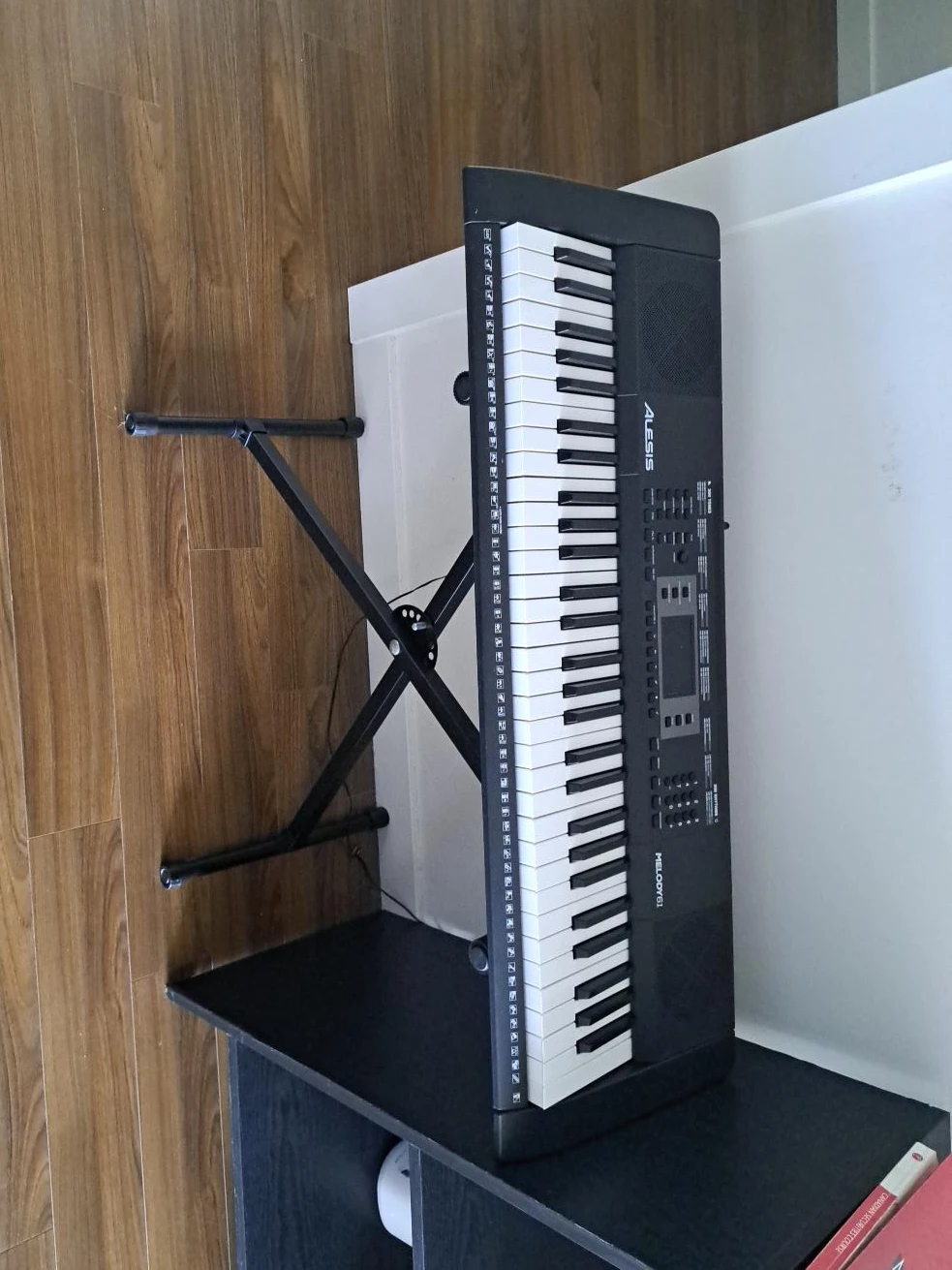 Alesis Melody 61 Keyboard with Stand