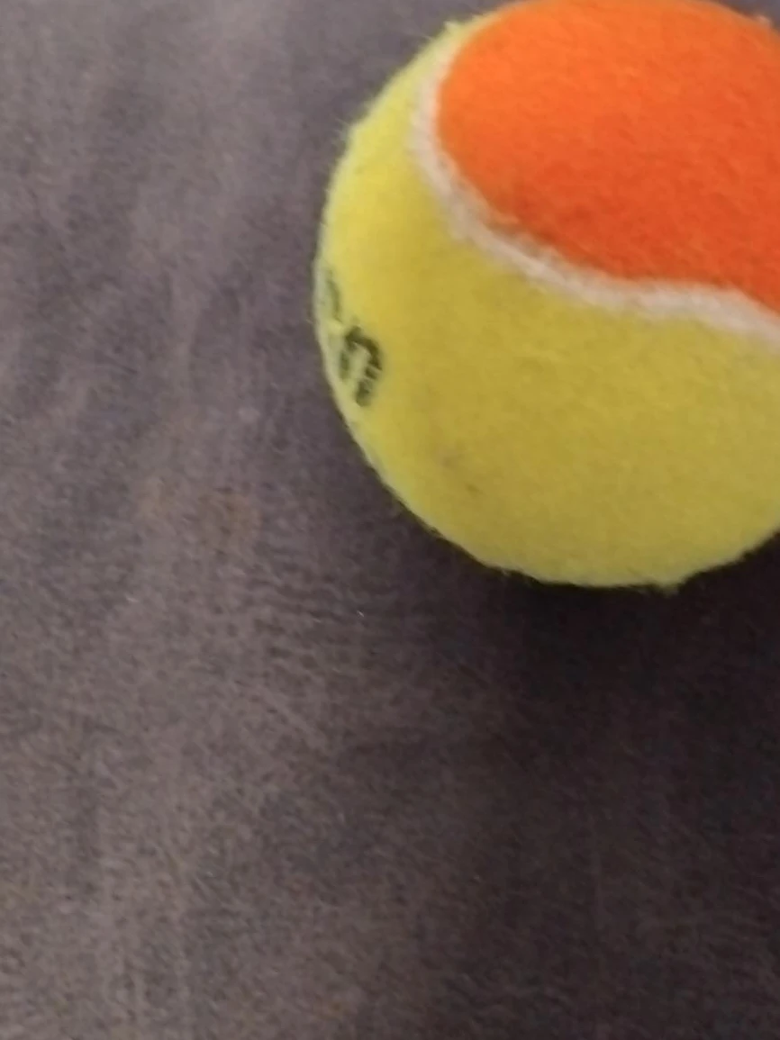 Wilson Tennis Ball