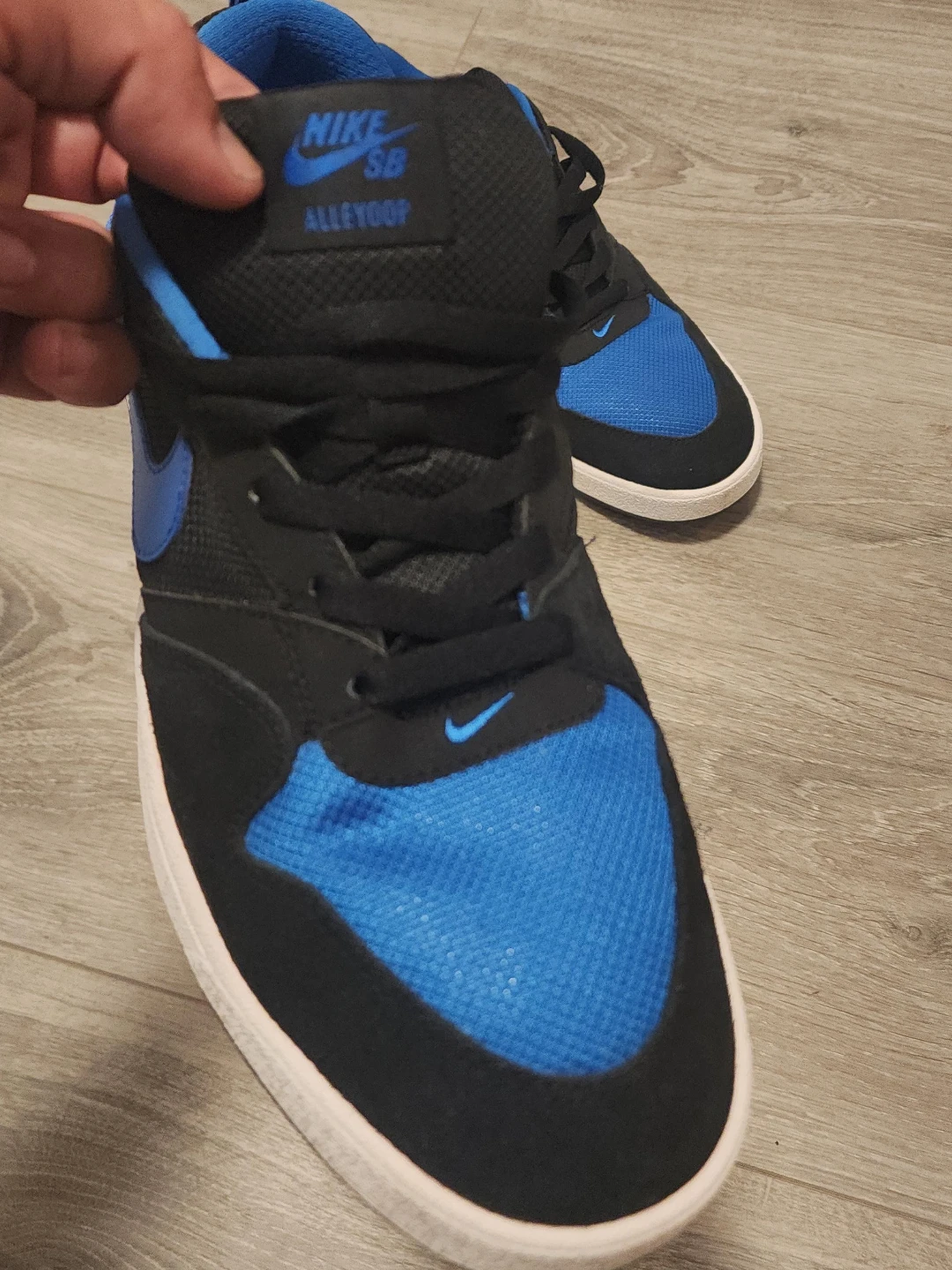 Nike SB Alleyoop Men's Shoes