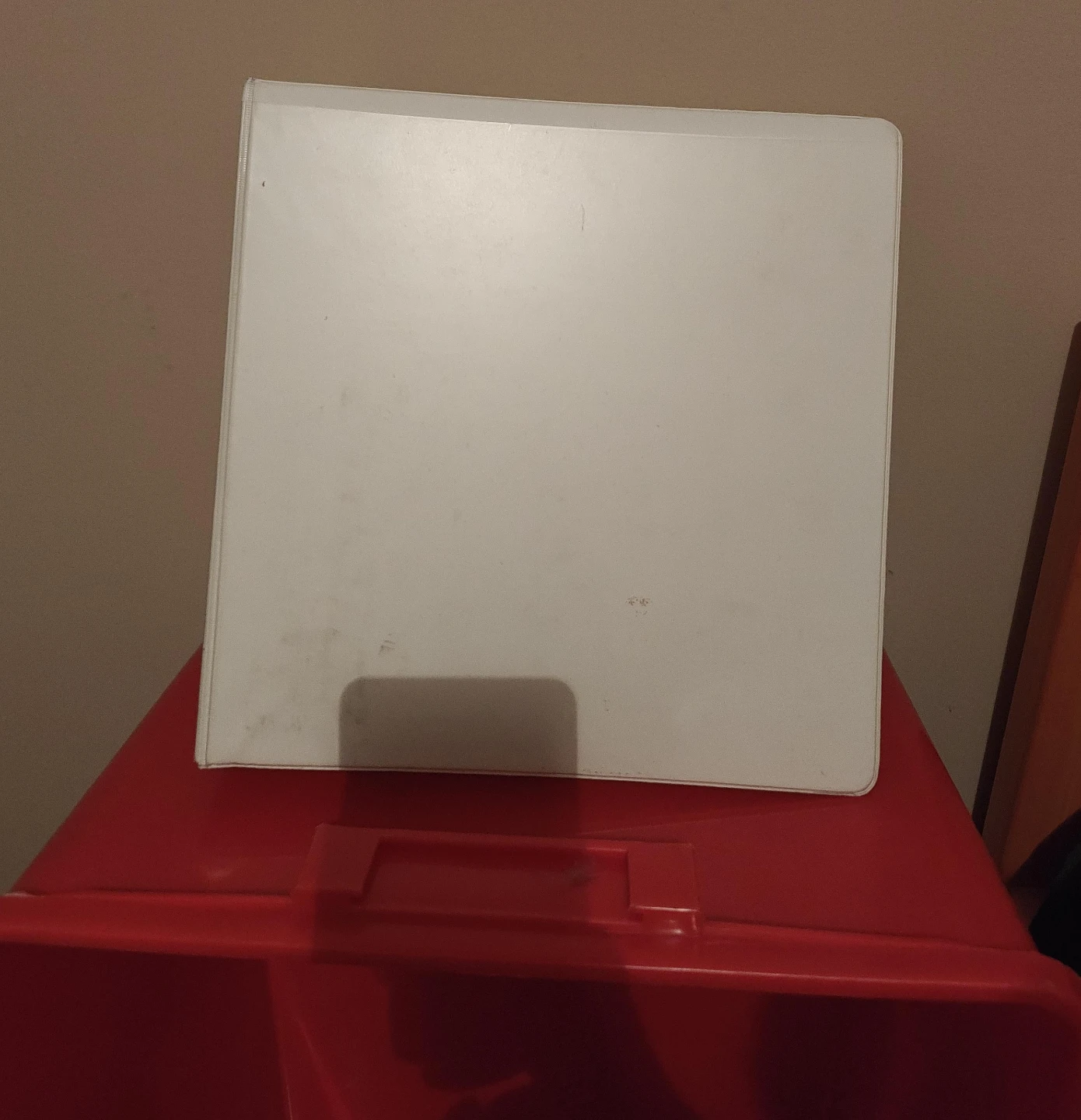 Assorted 3-Ring Binder