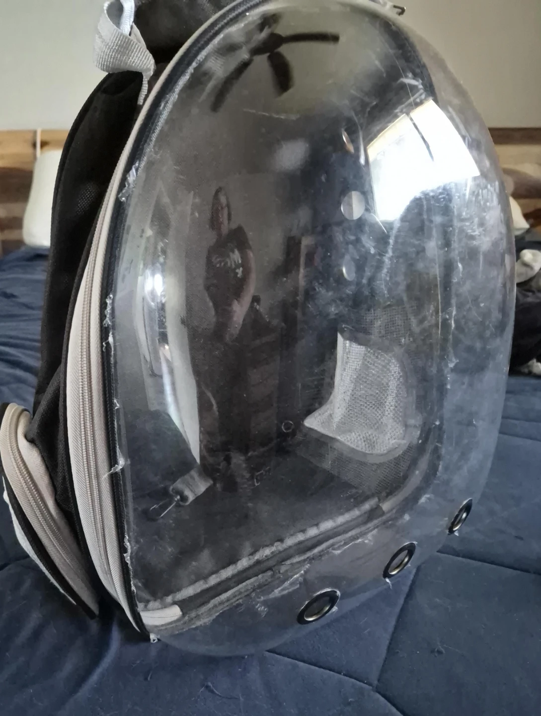 Pet Carrier Backpack - Clear Bubble