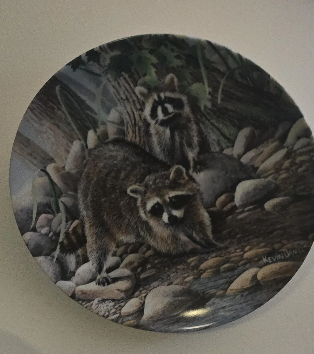 Decorative Plate with Raccoons by Kevin Daniel