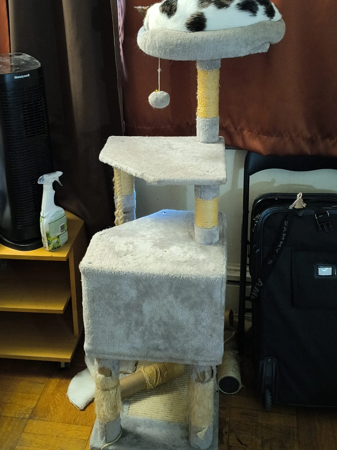 Multi-level Cat Tree Condo