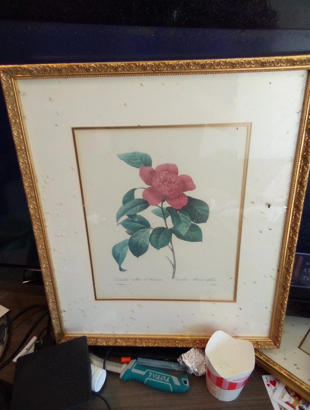 Framed Camellia Flower Print ×2