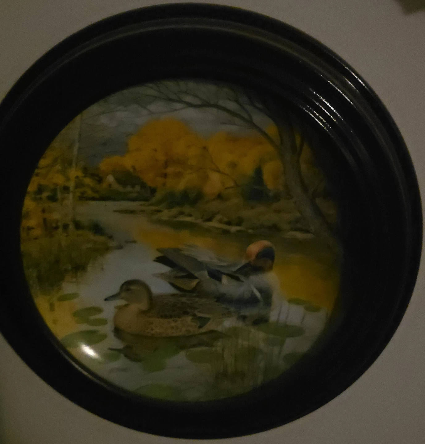 Decorative Plate with Ducks