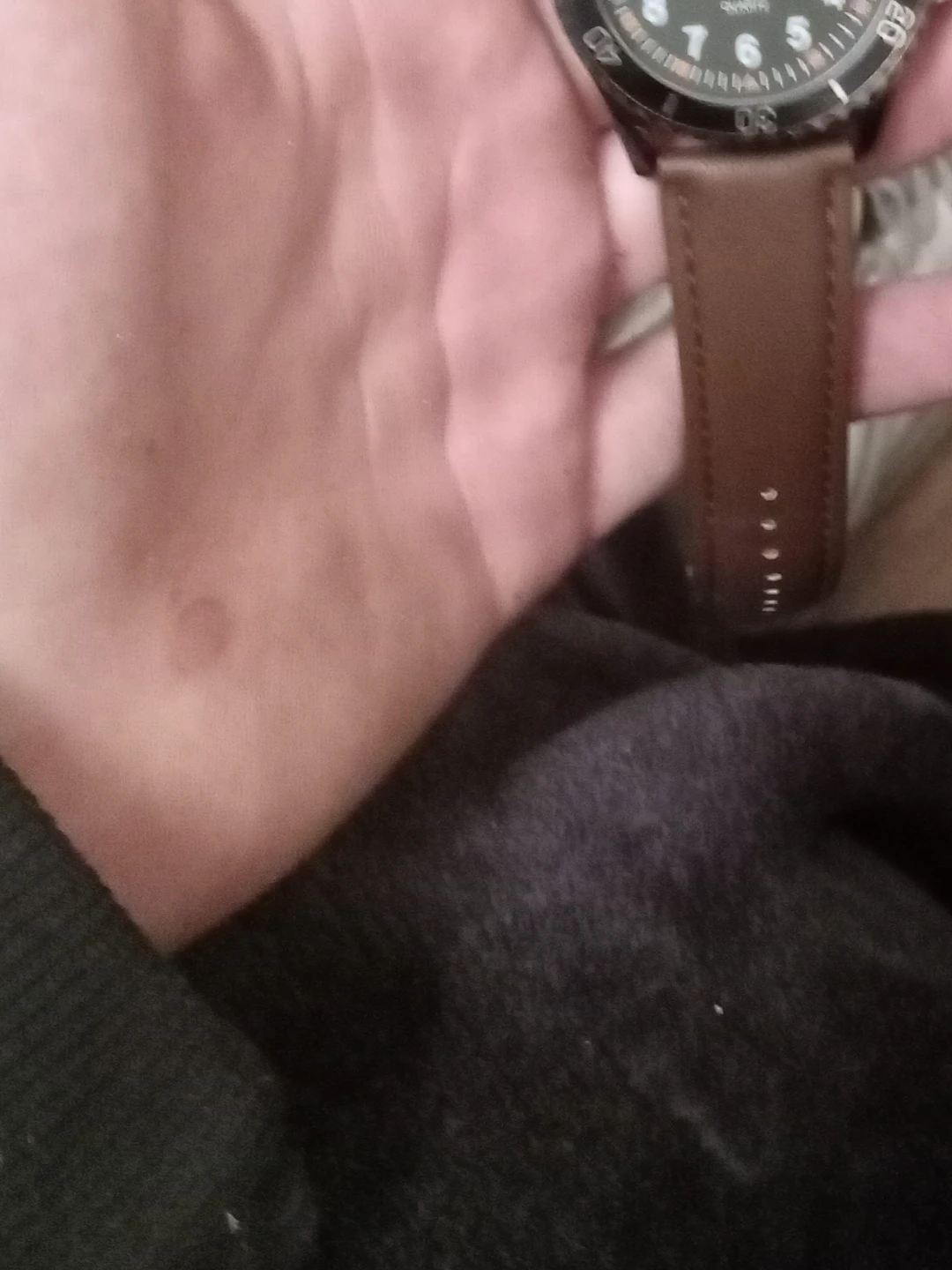 Men's Quartz Watch with Brown Leather Strap